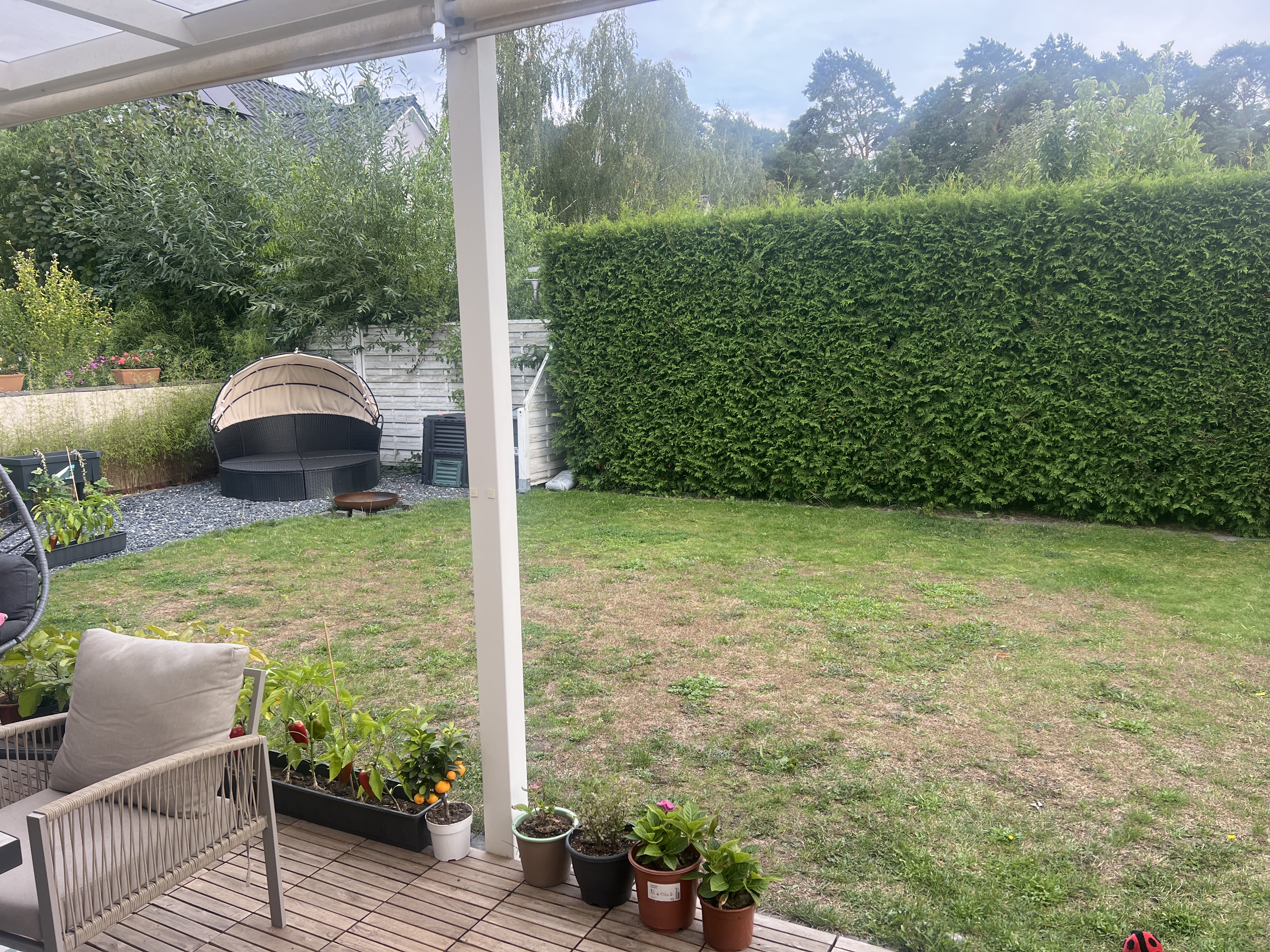 image-13