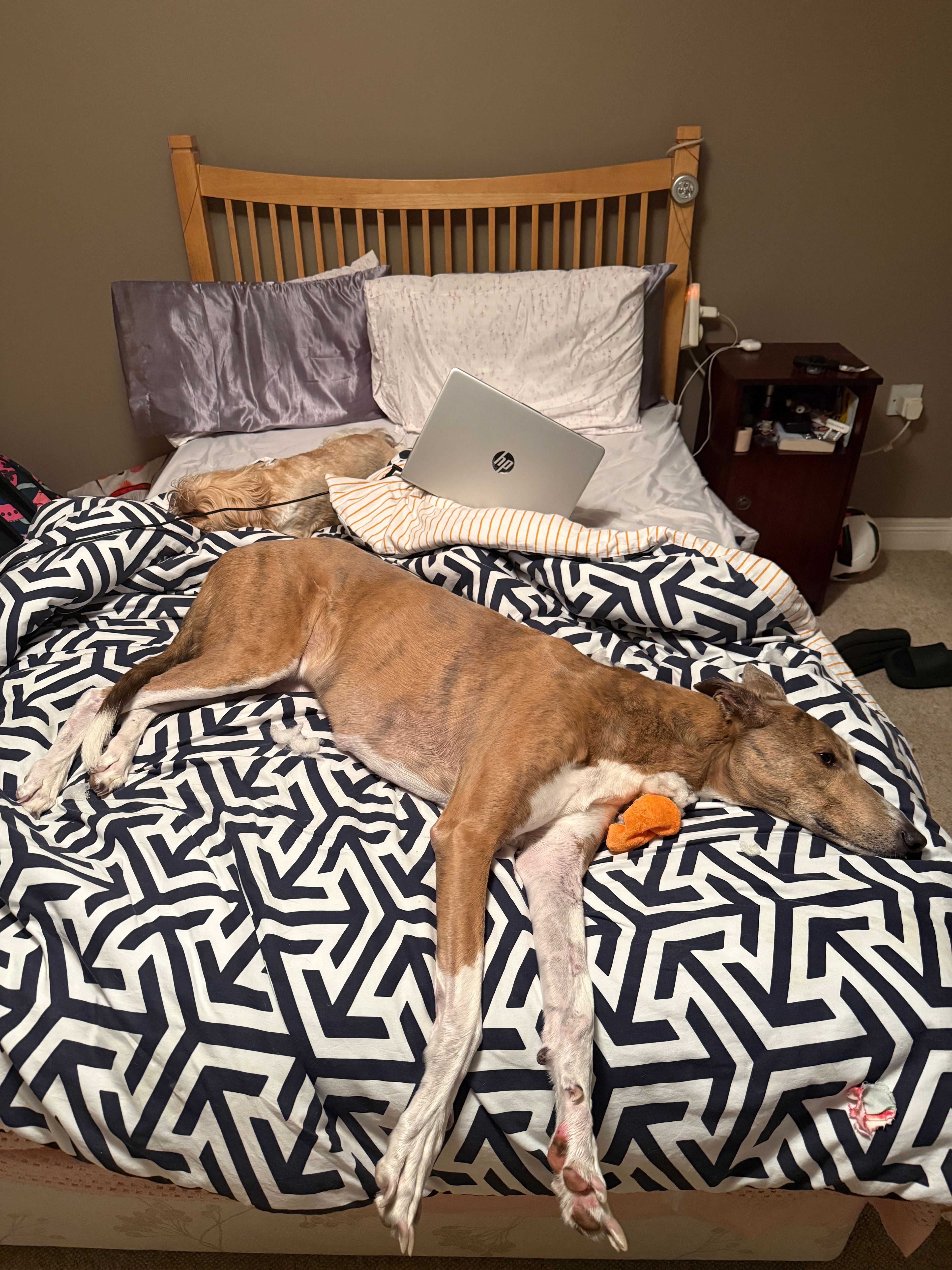 image-28