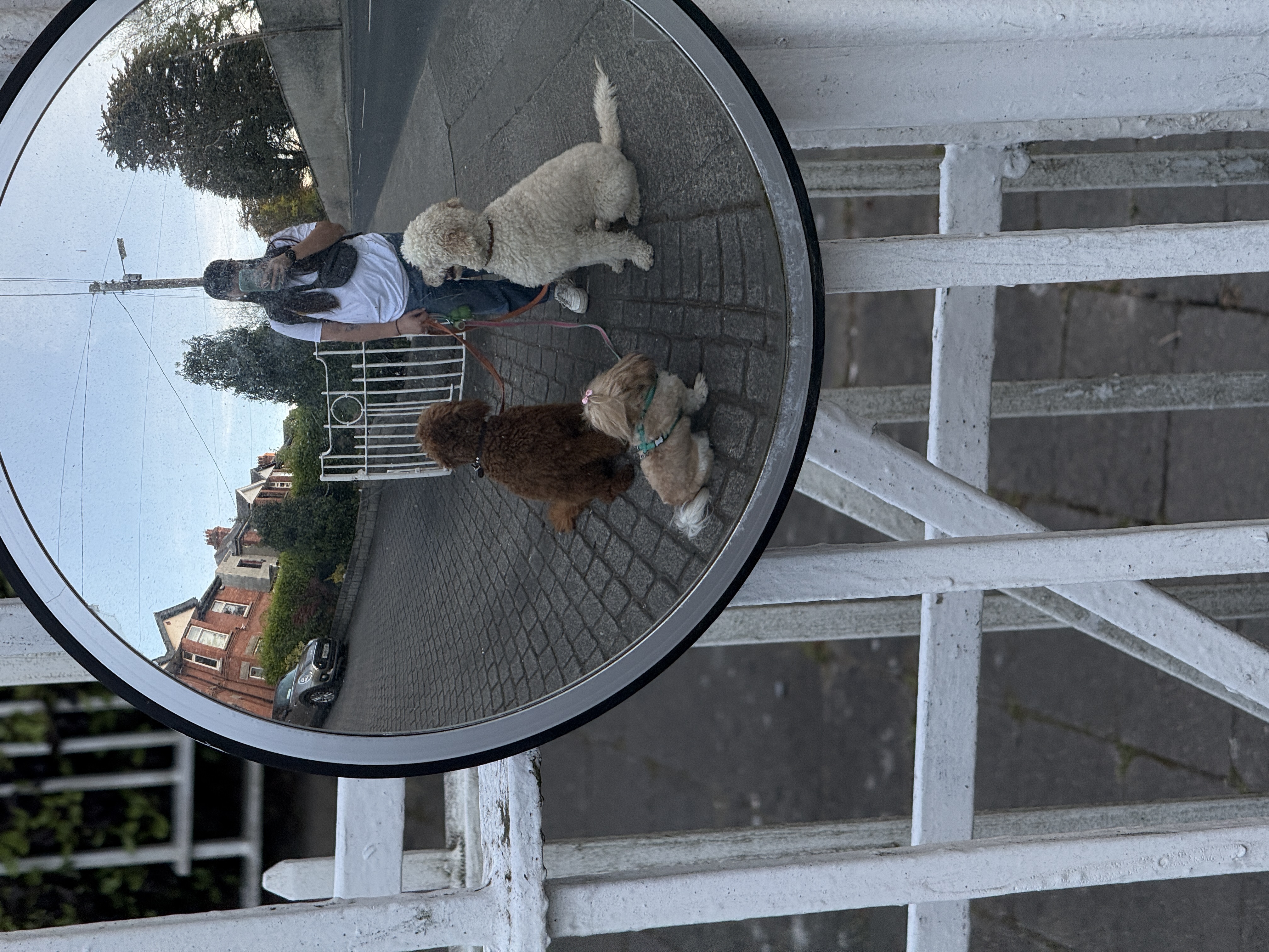 image-2
