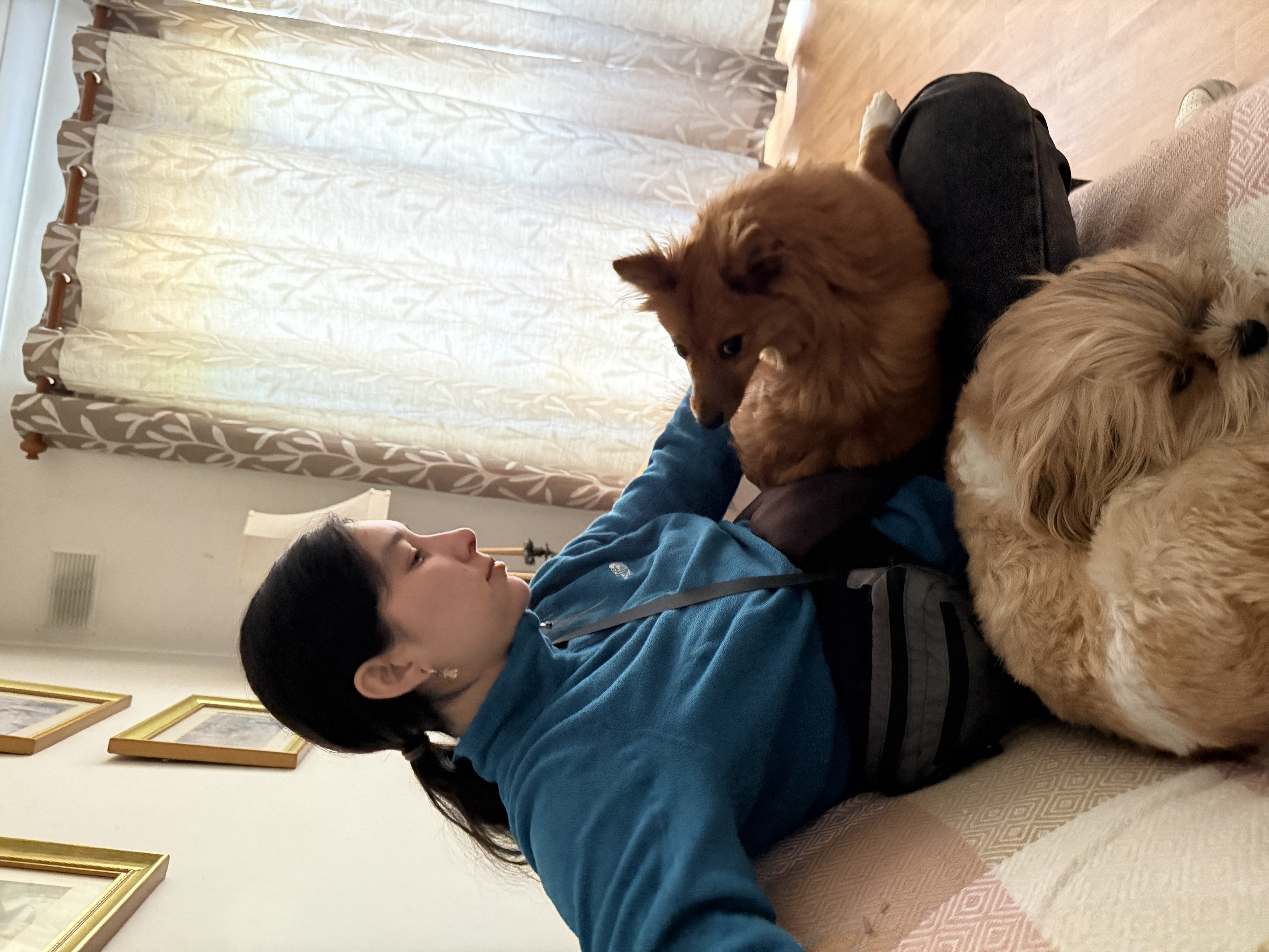 image-27