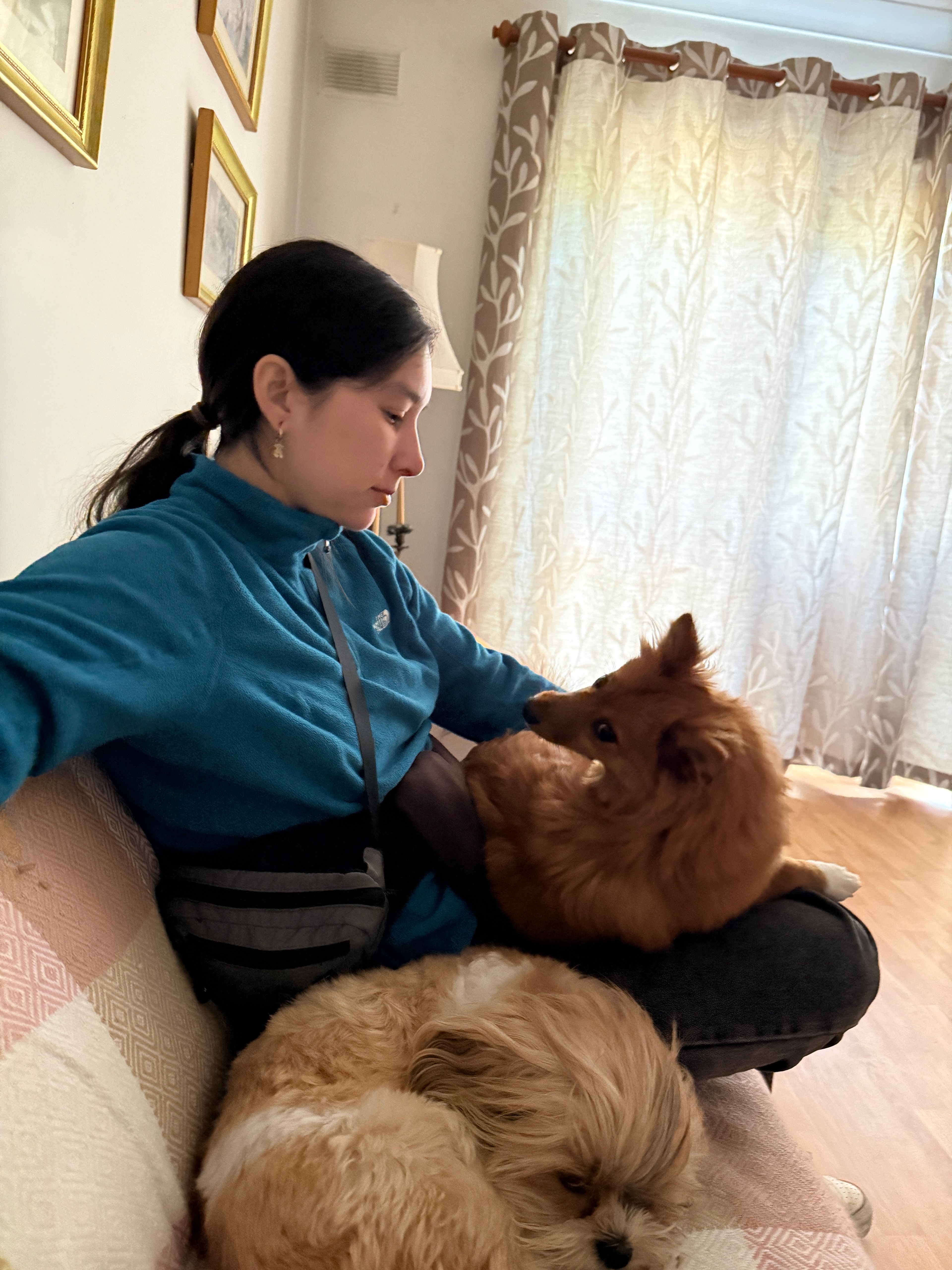 image-27