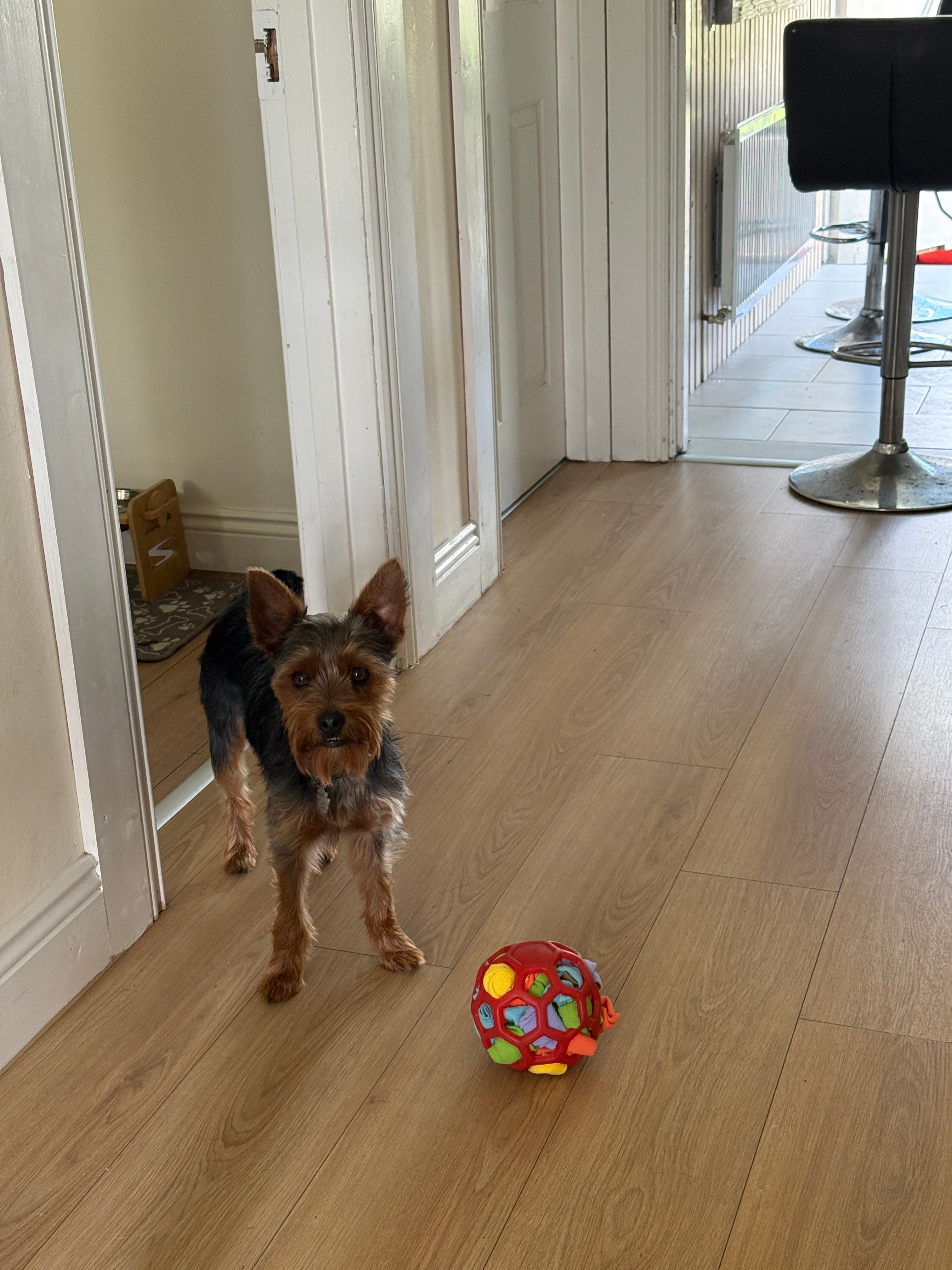 image-12