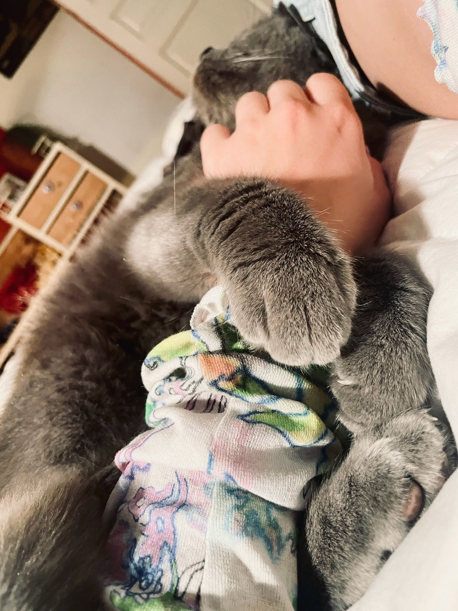 image-8