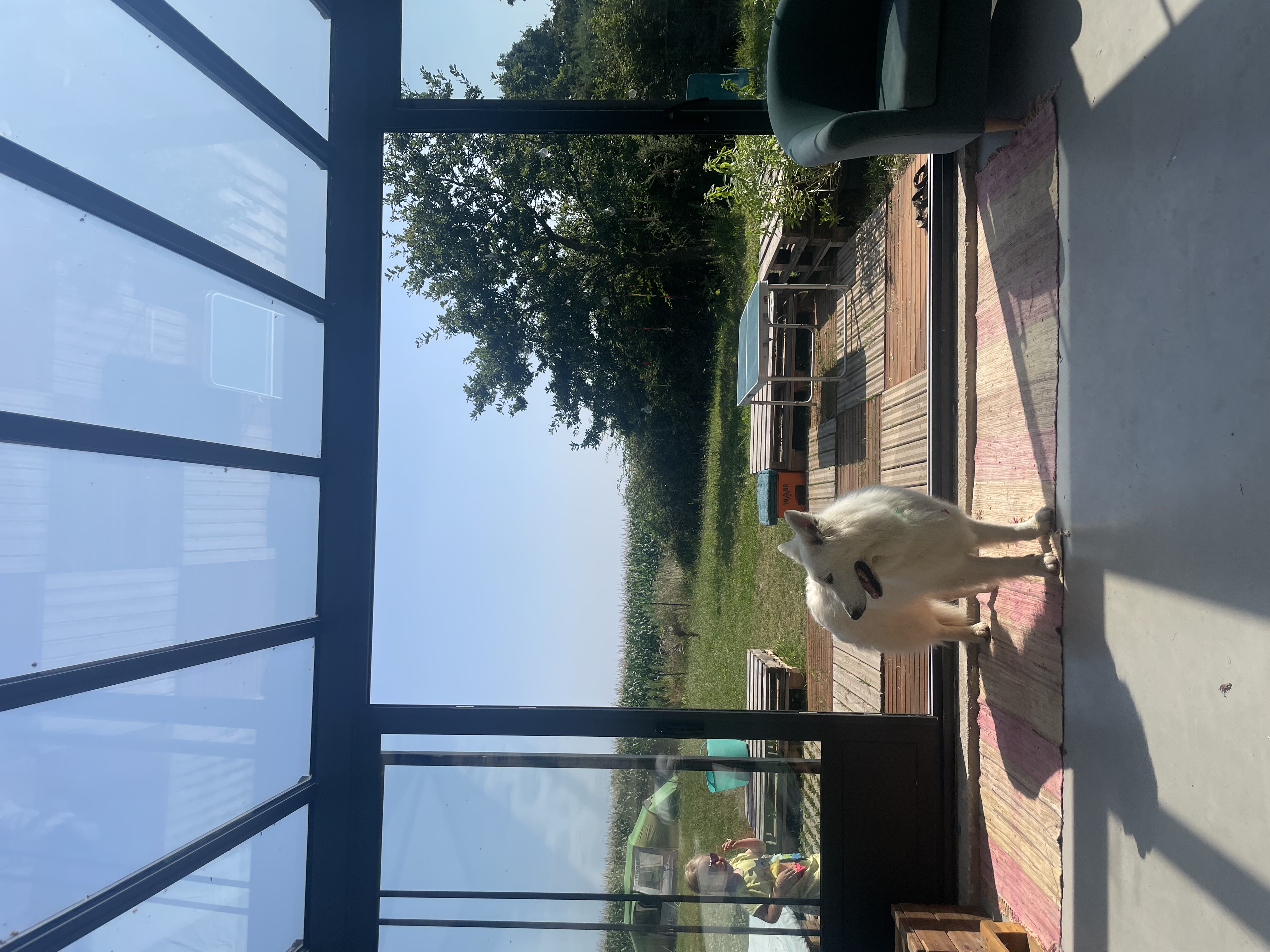 image-14
