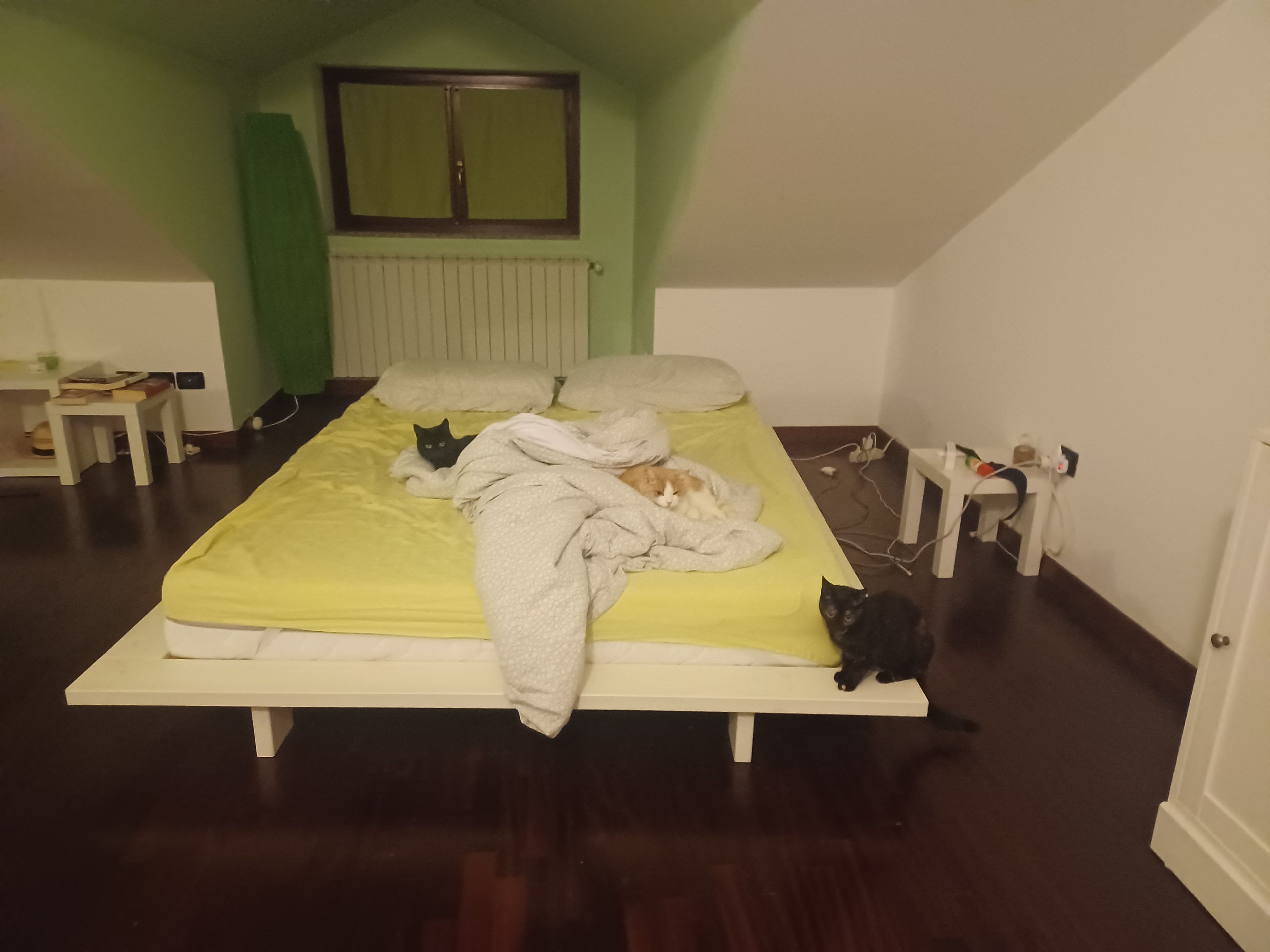image-16