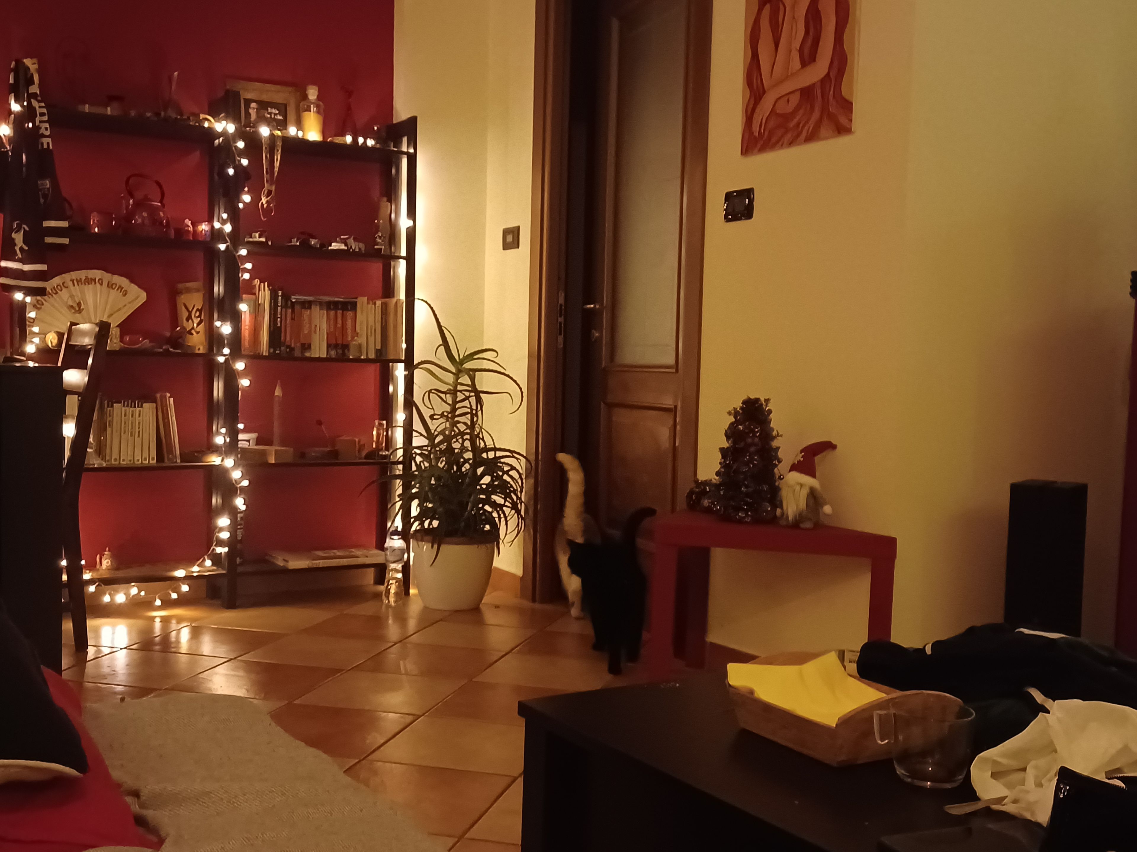 image-9