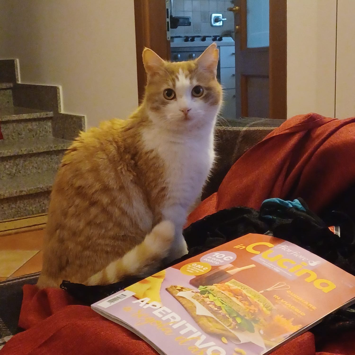 Camillo