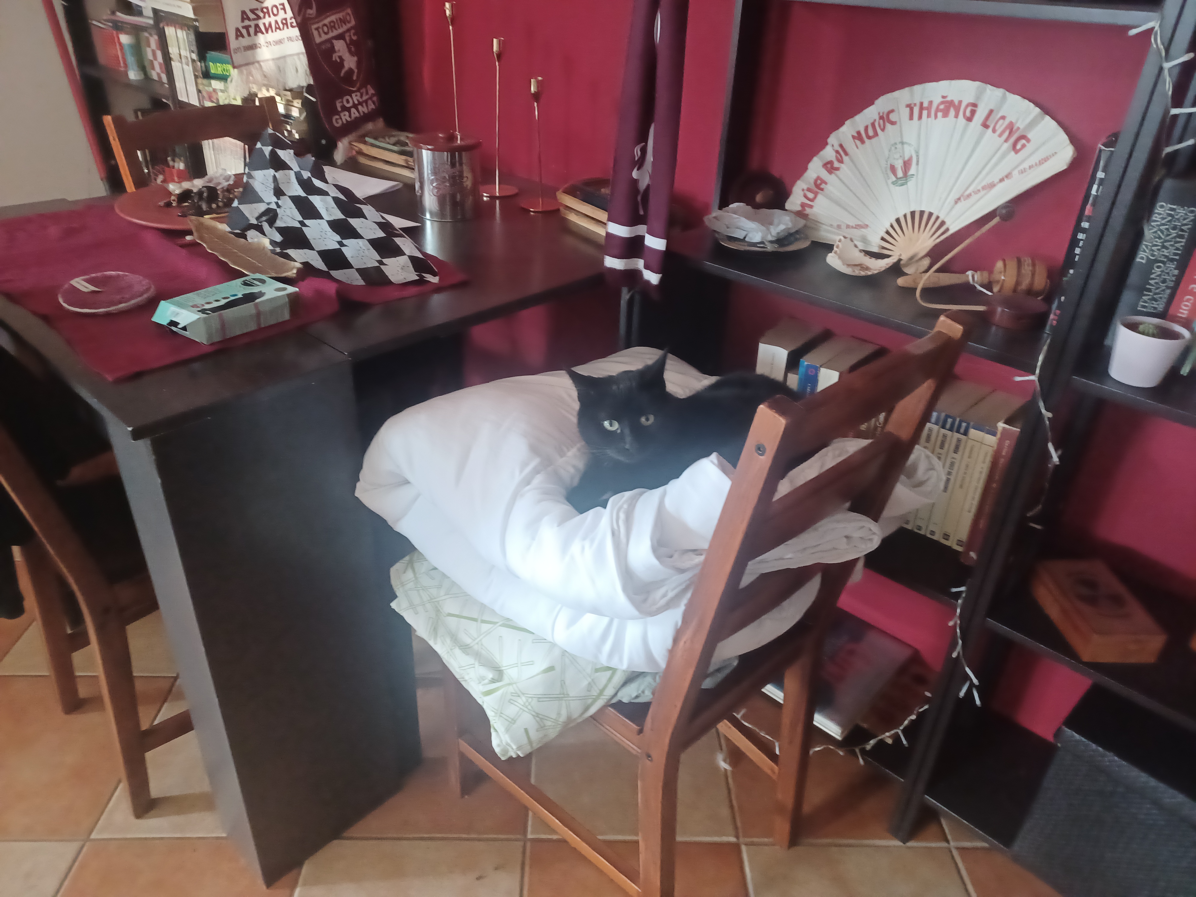 image-7