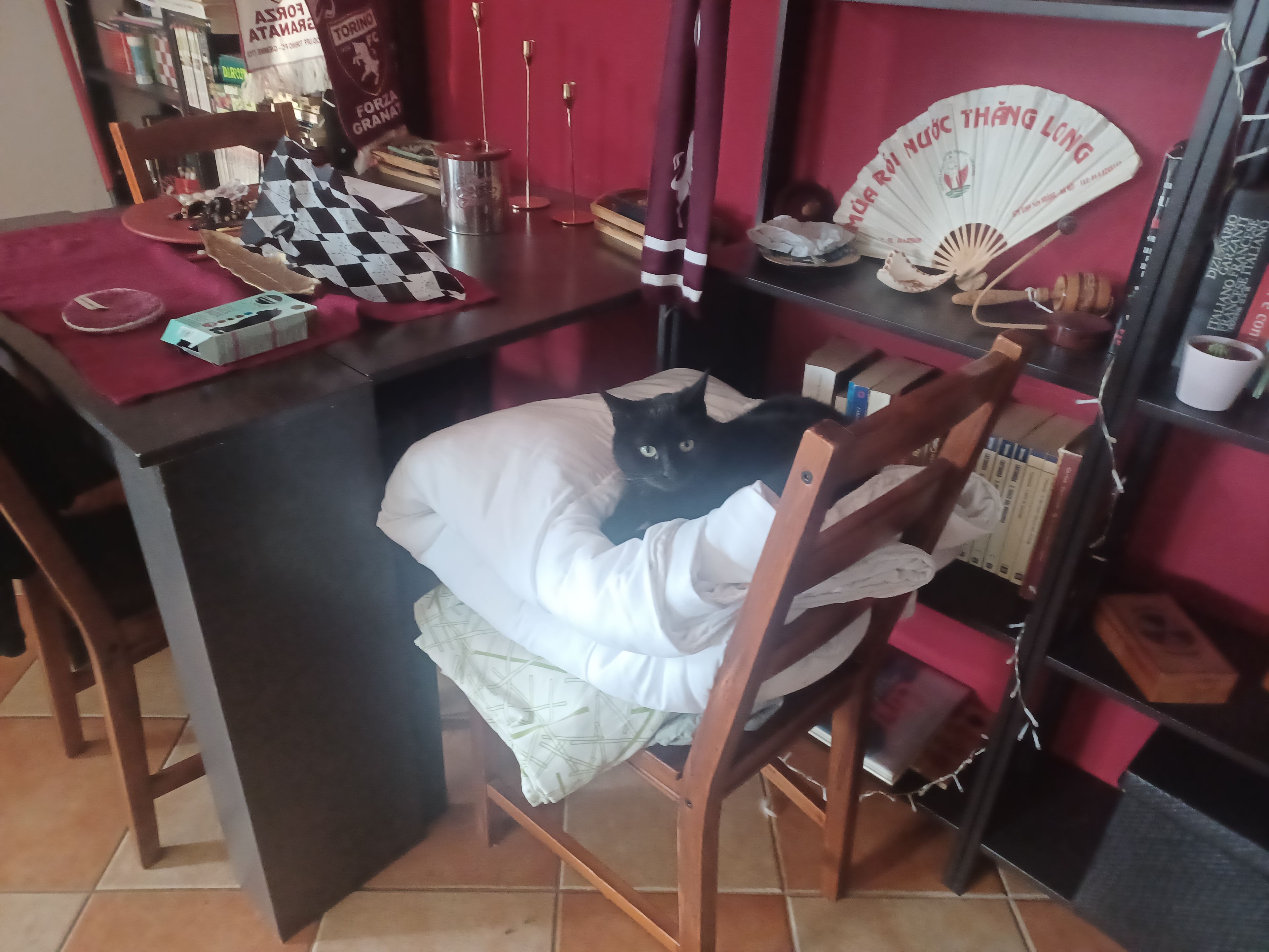 image-7