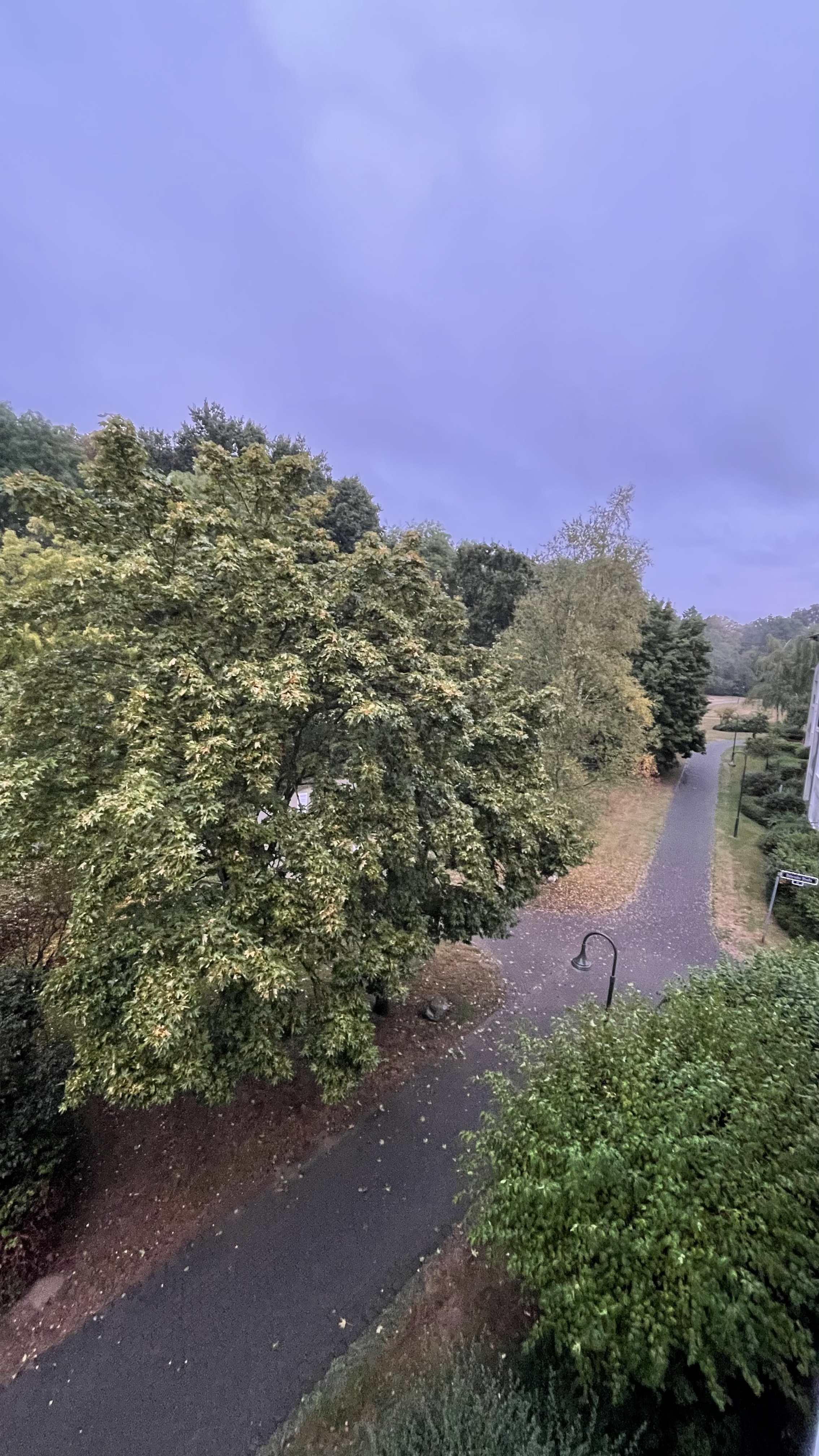 image-28