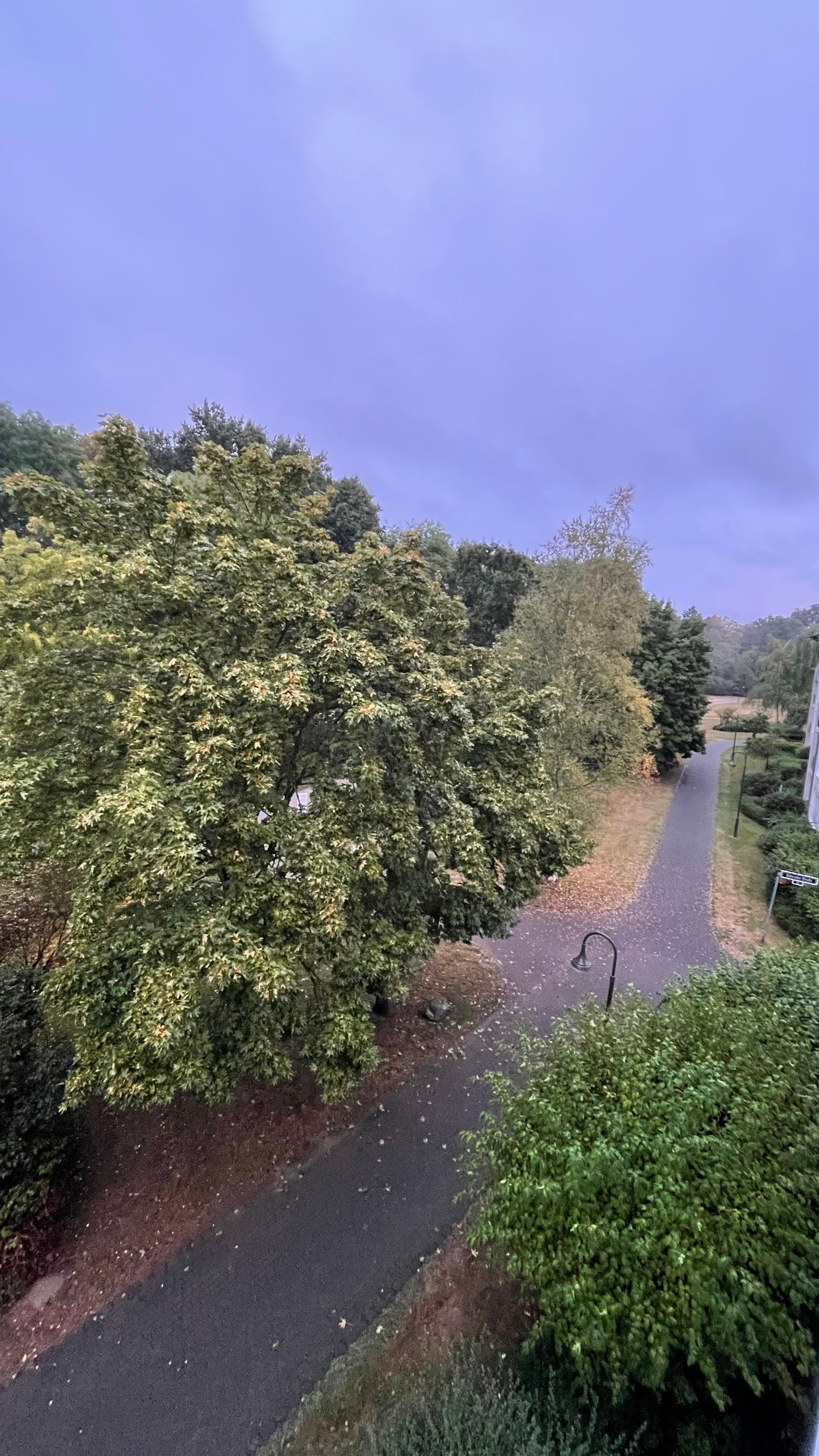image-28