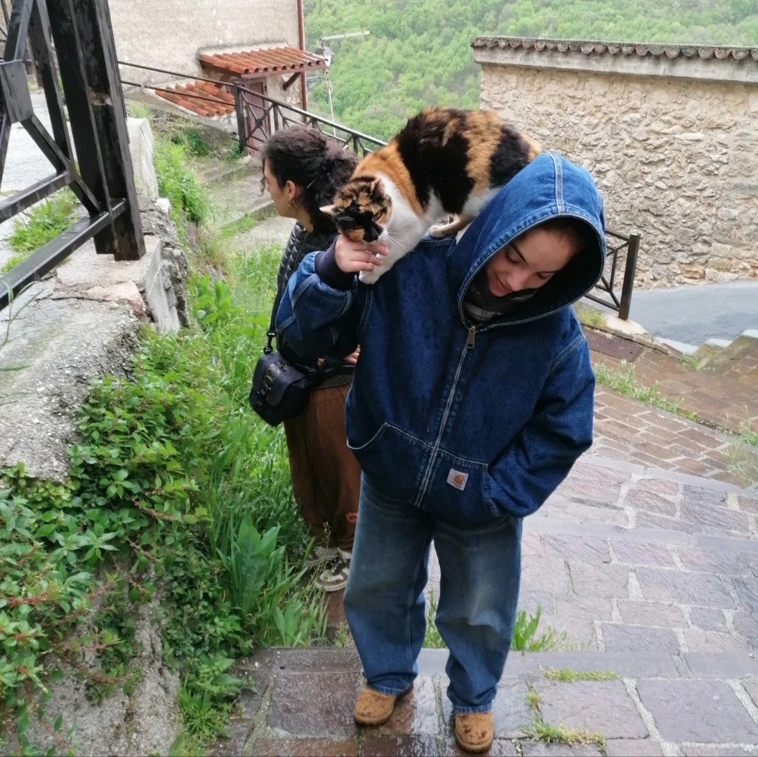 image-16