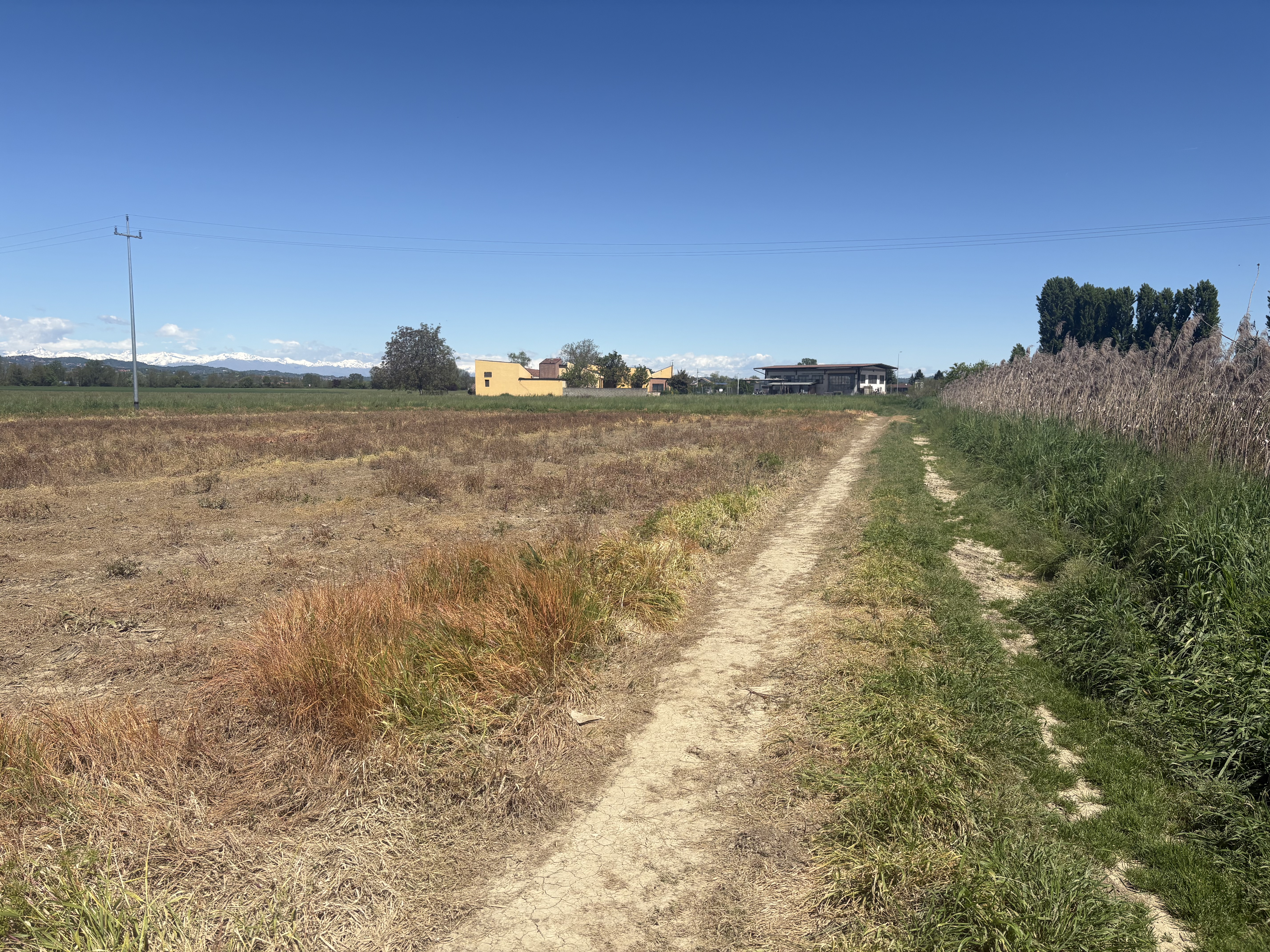 image-18