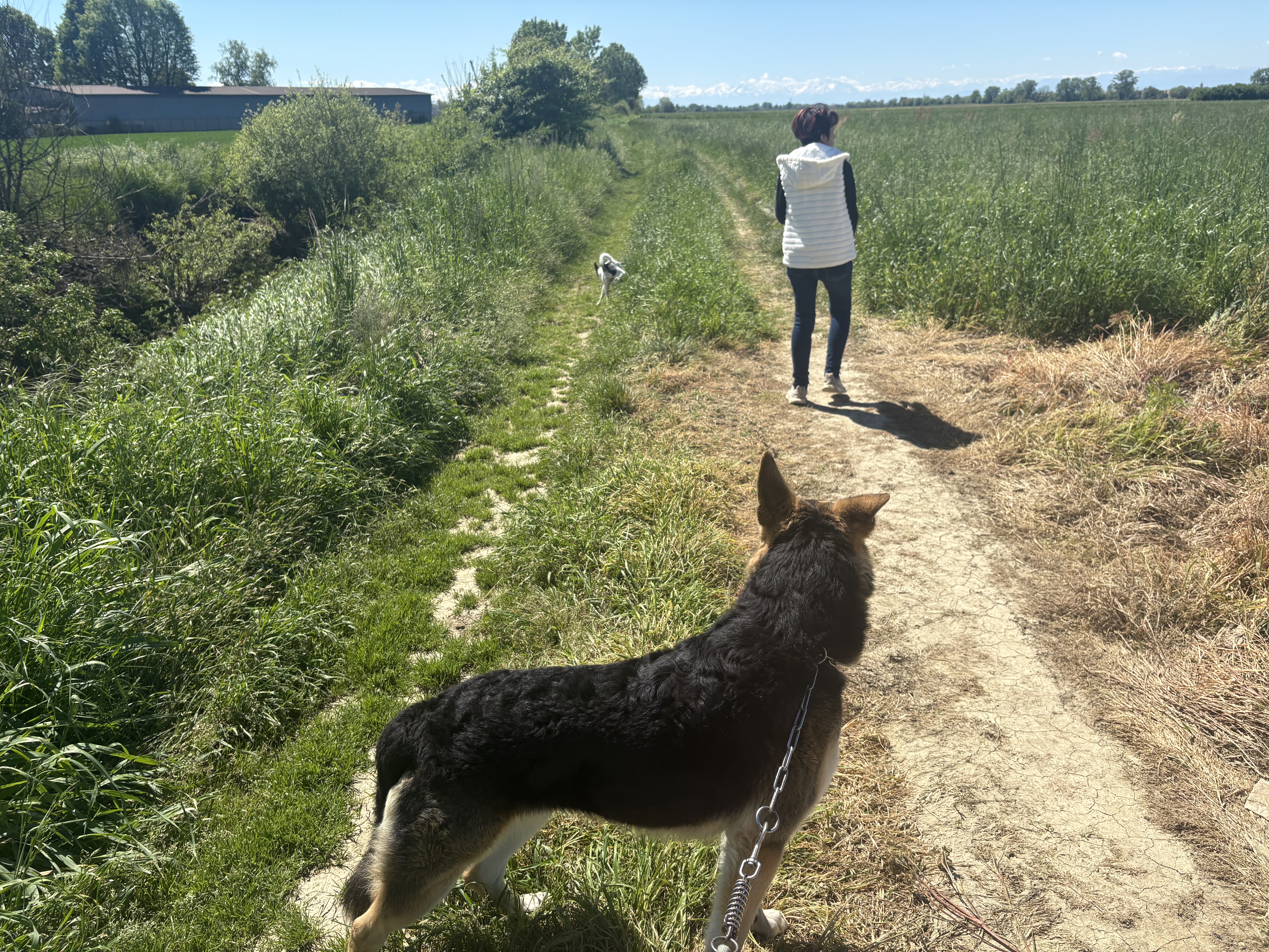 image-17