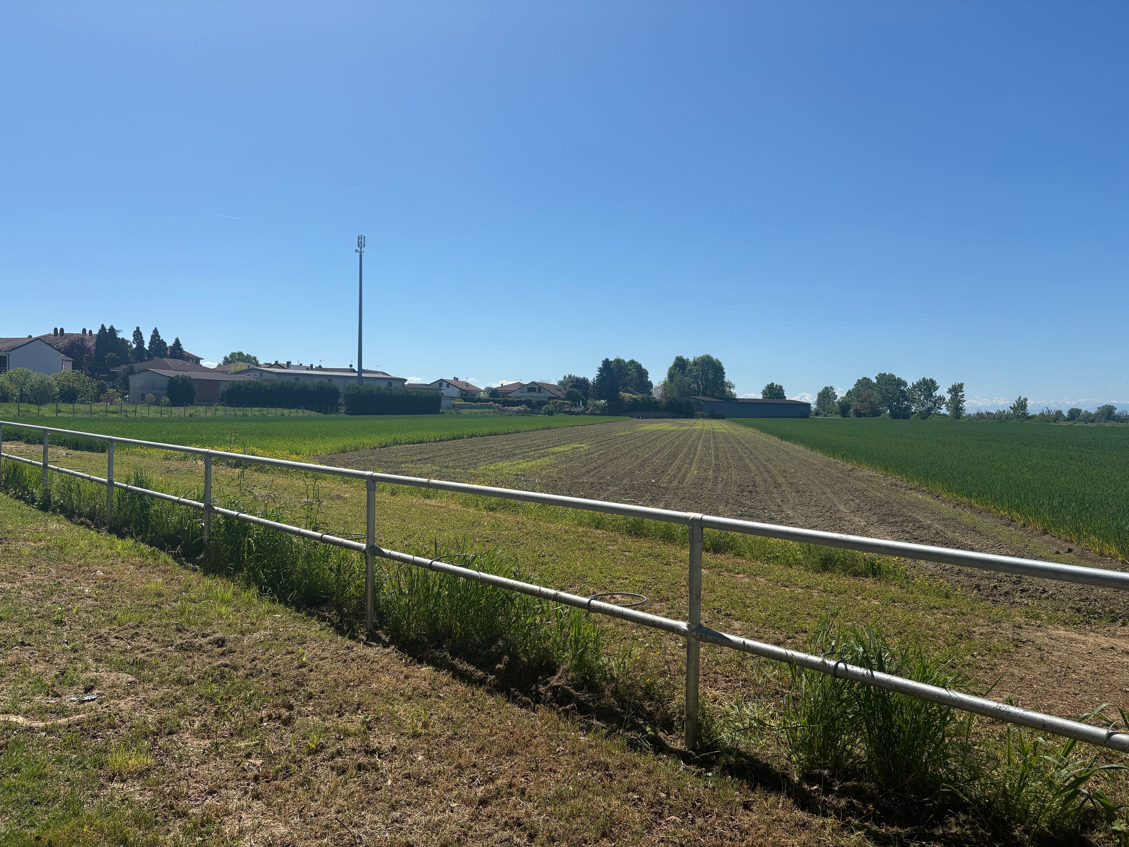 image-19