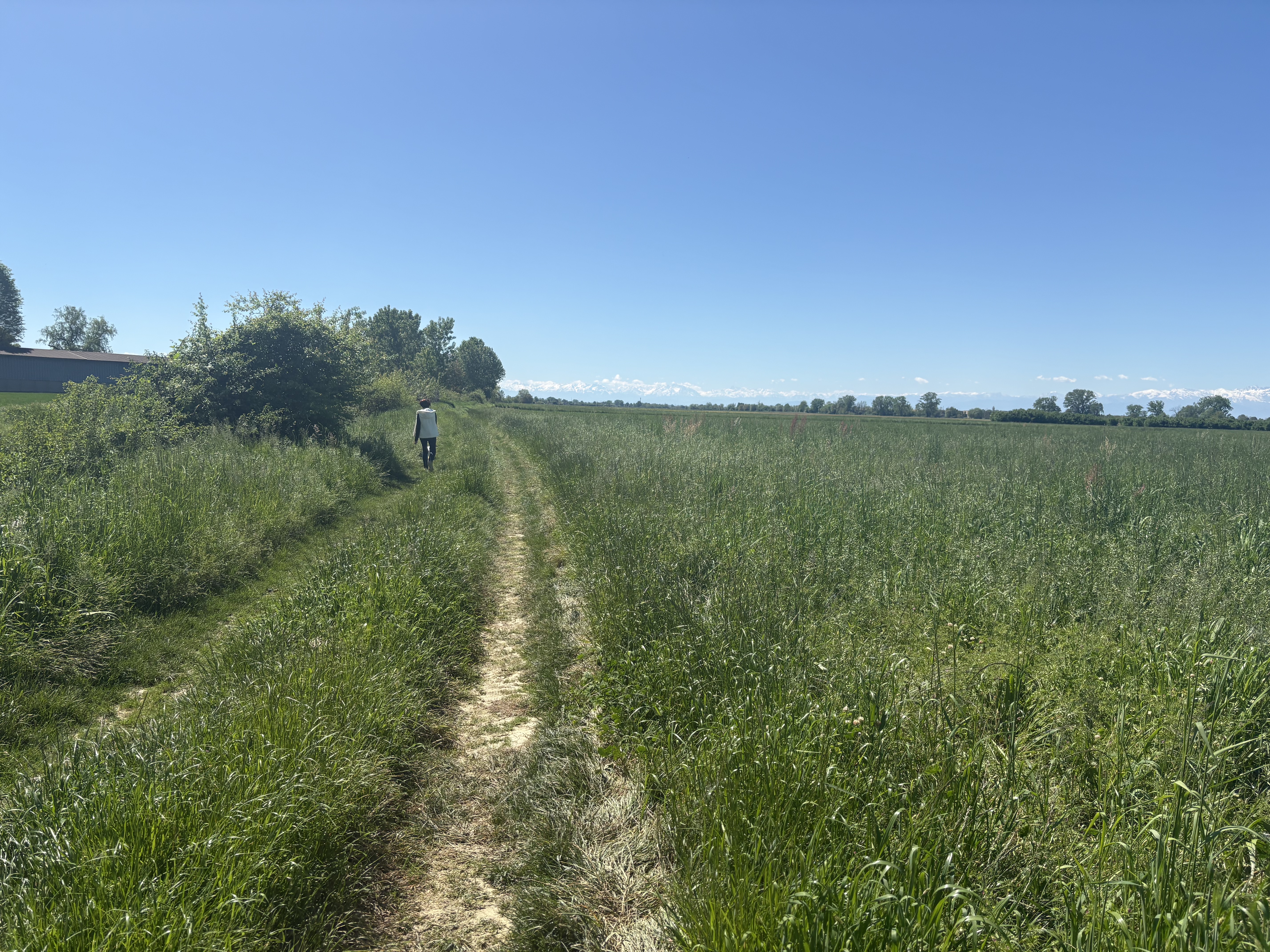 image-20