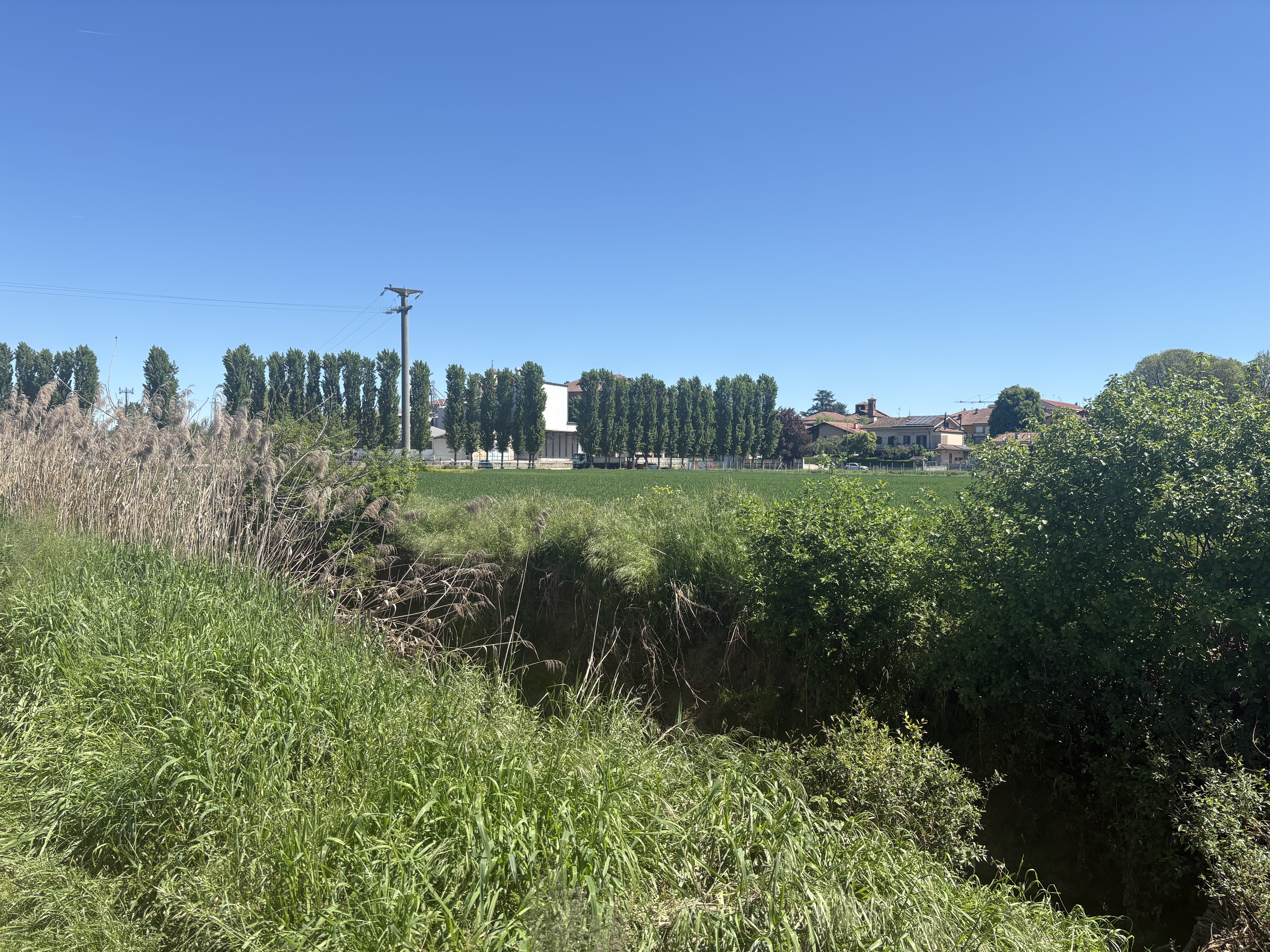 image-22