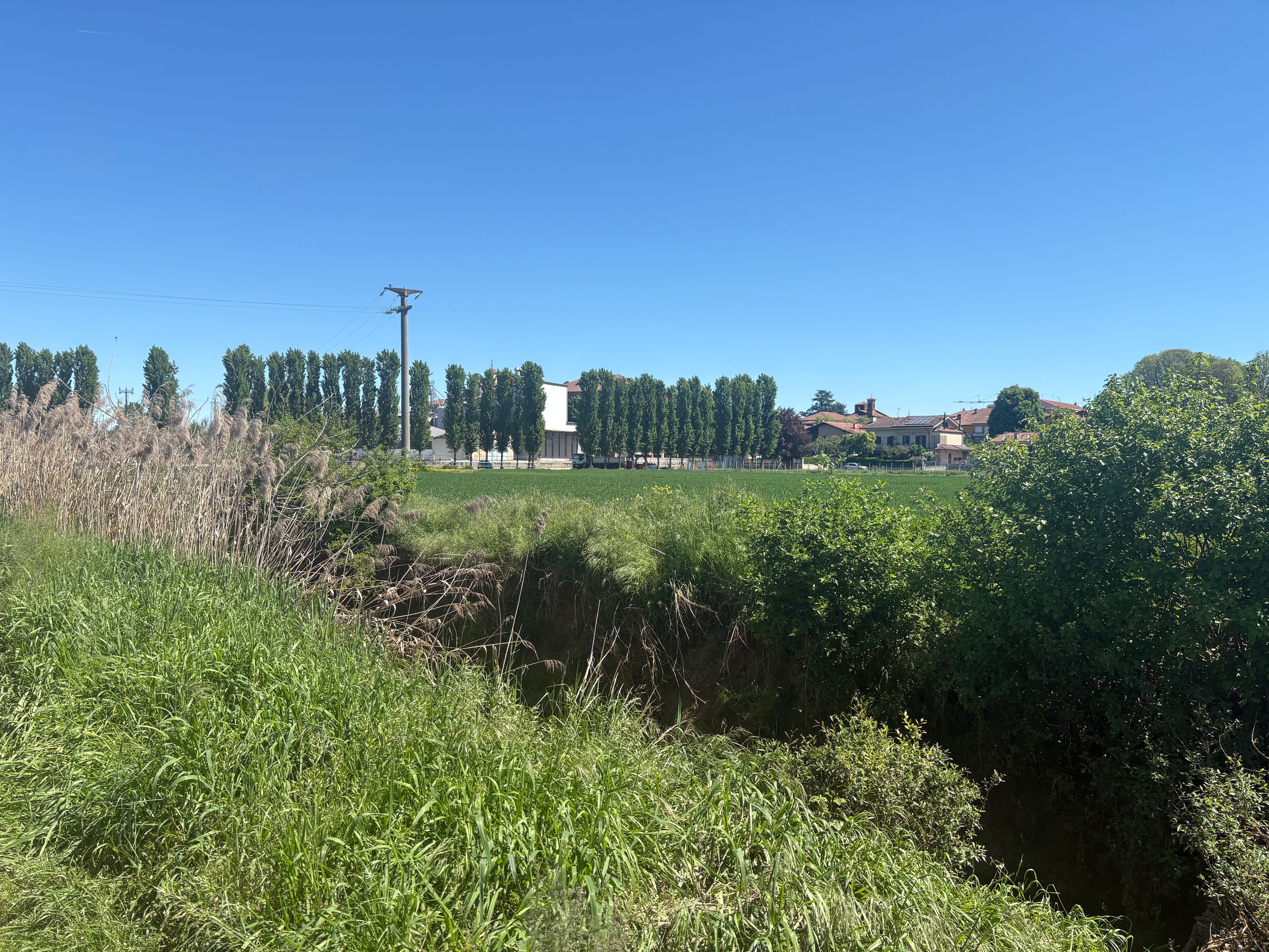 image-22