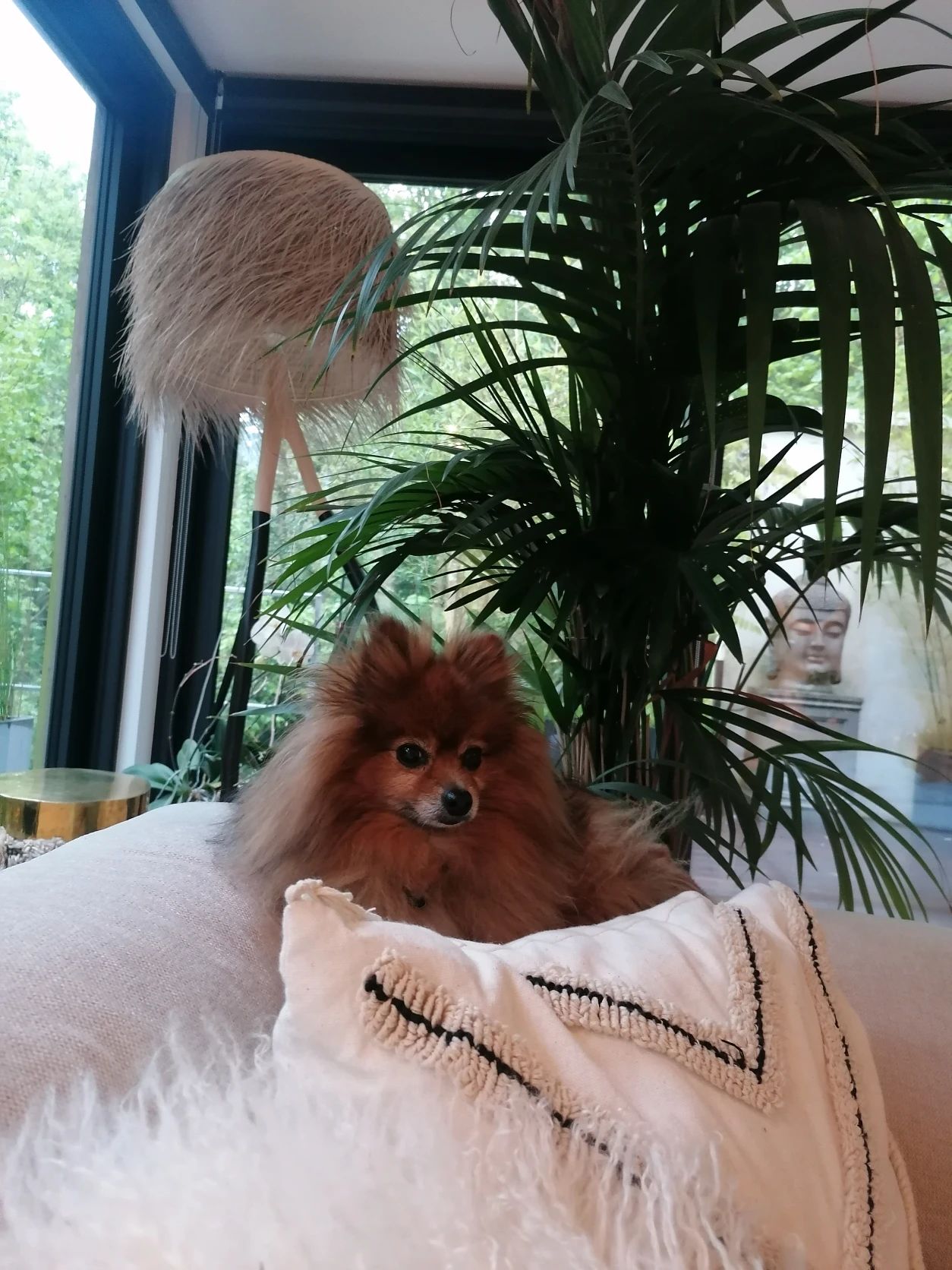 image-8