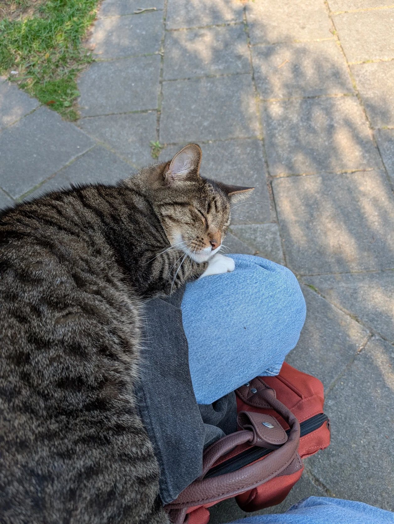 image-6