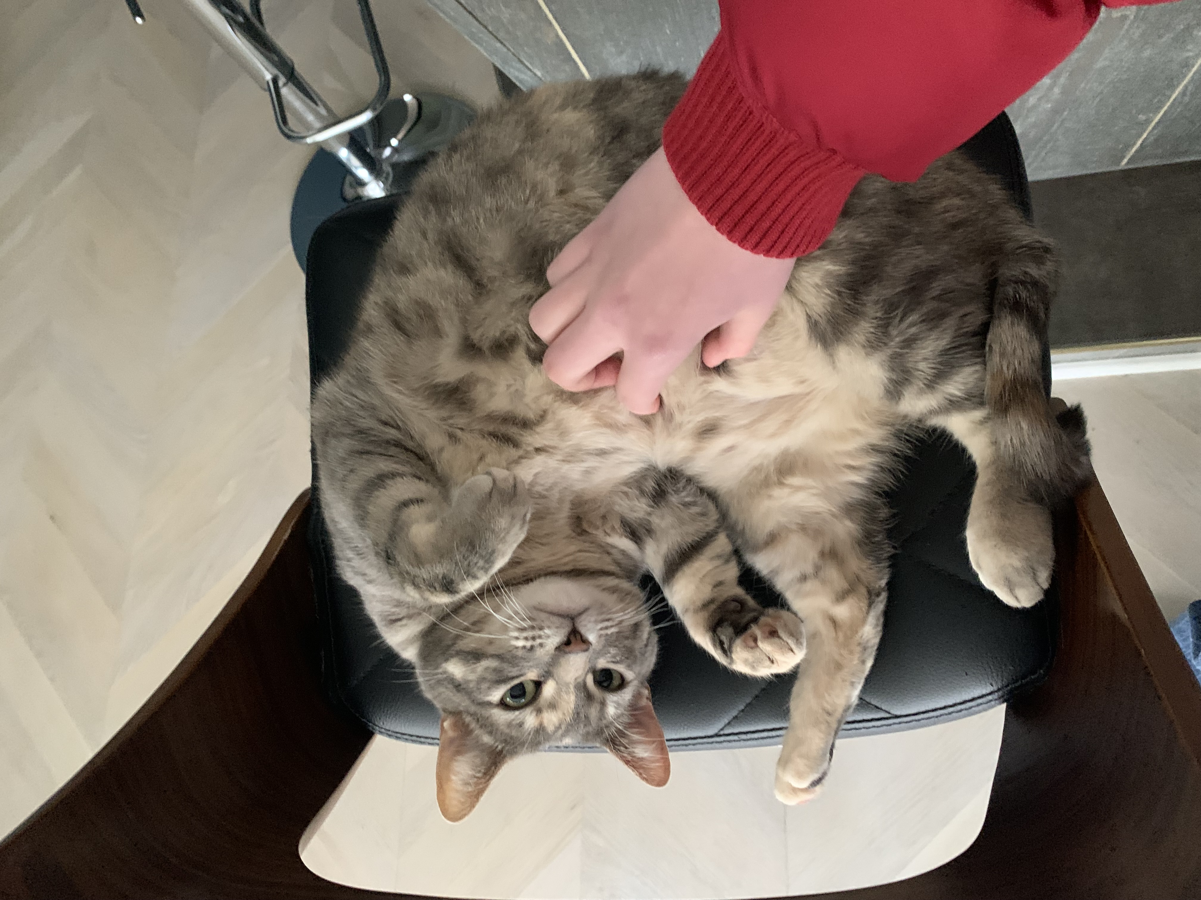 image-9