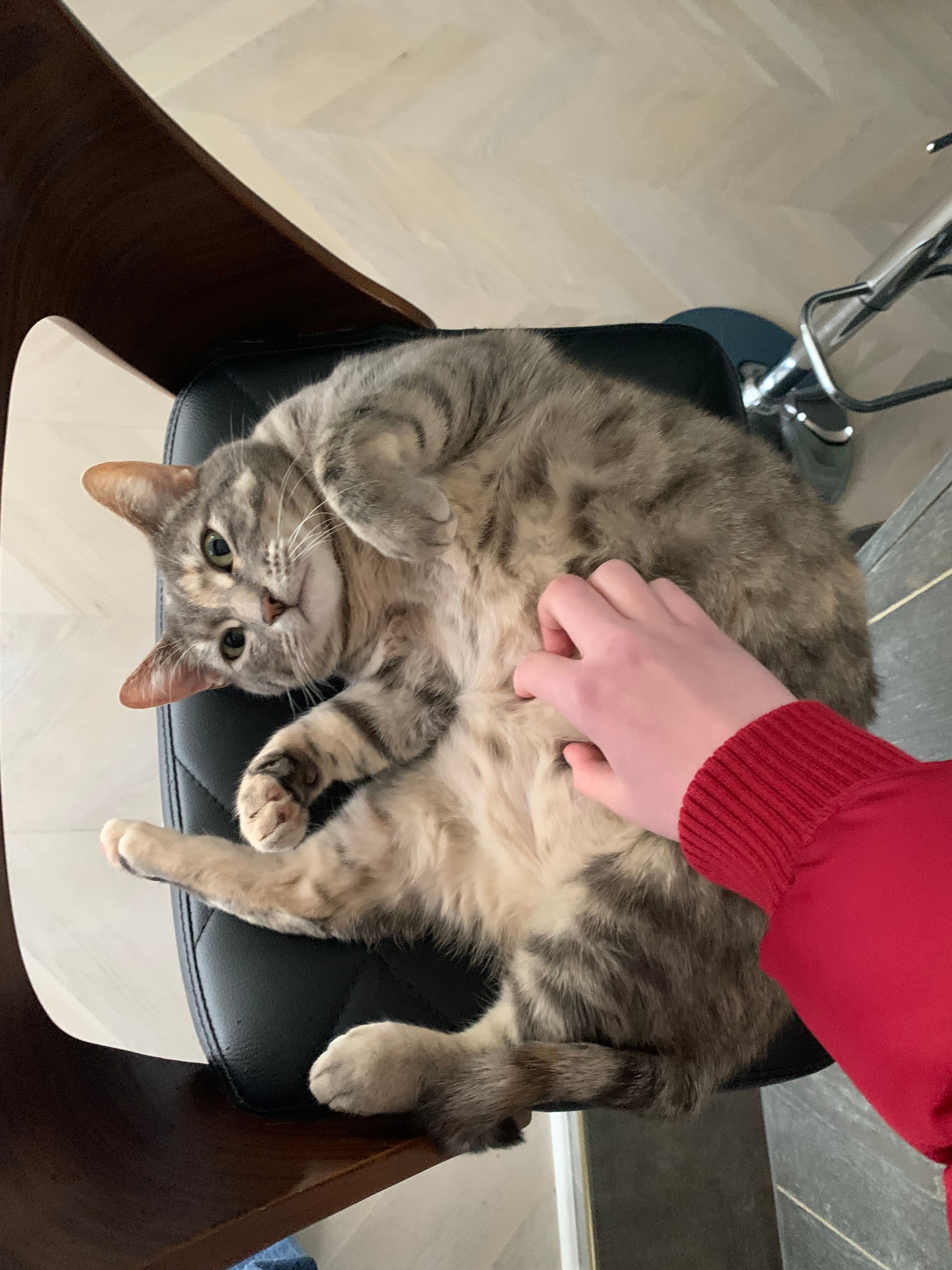 image-9