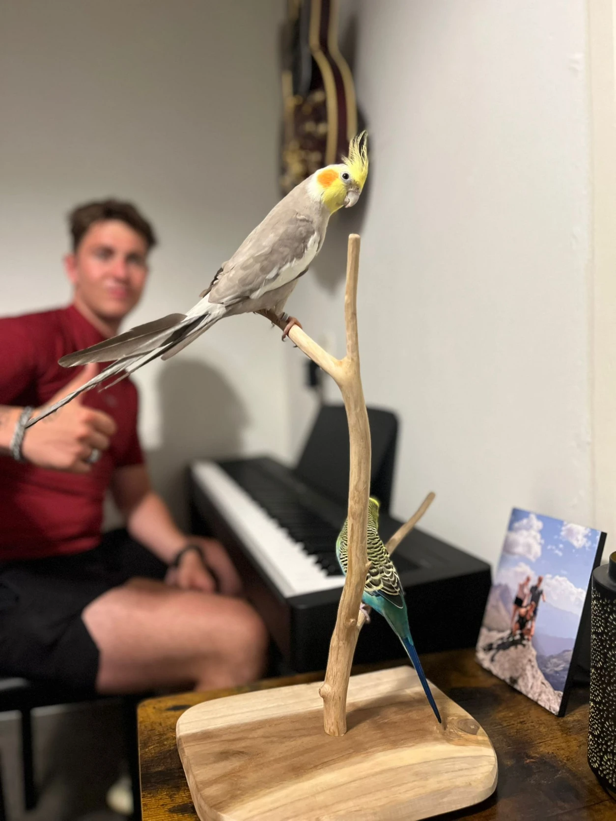 image-6