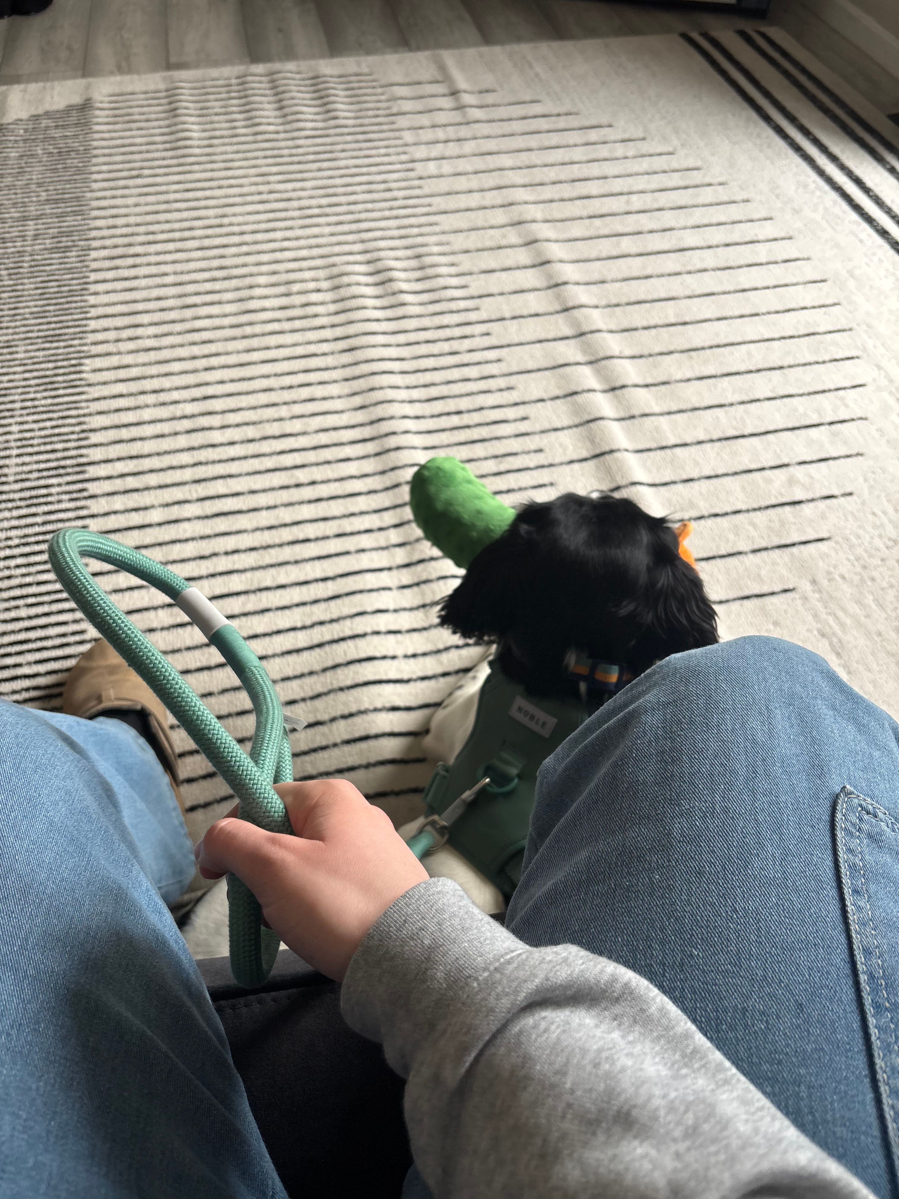 image-13