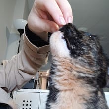 image-9