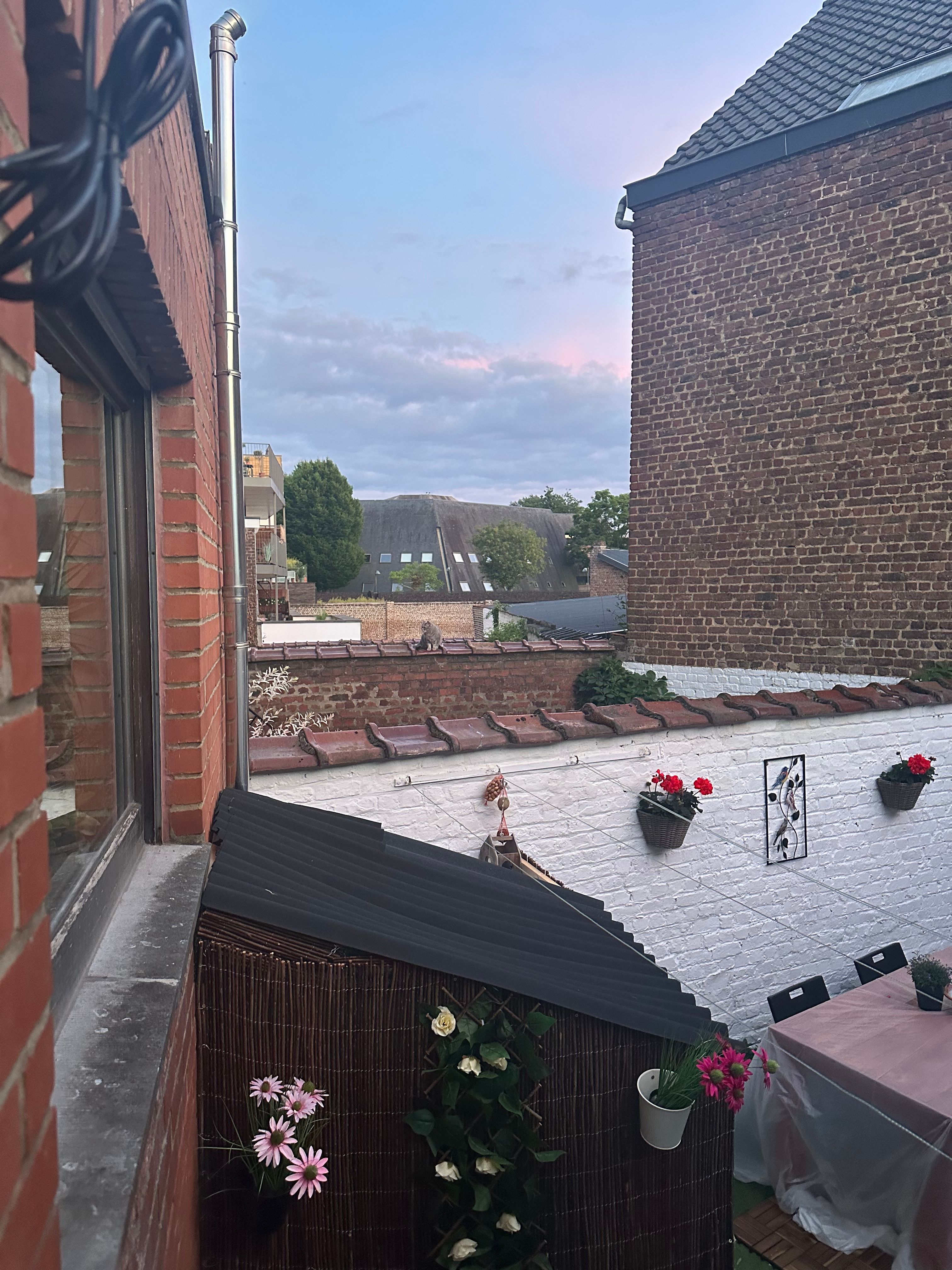 image-14