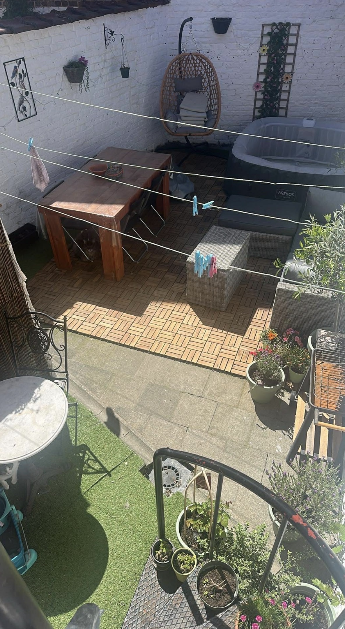 image-12
