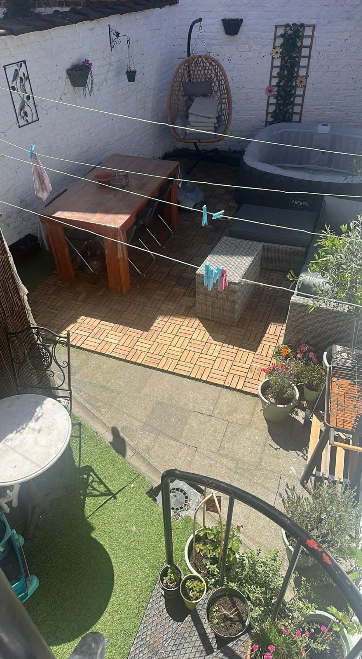 image-12