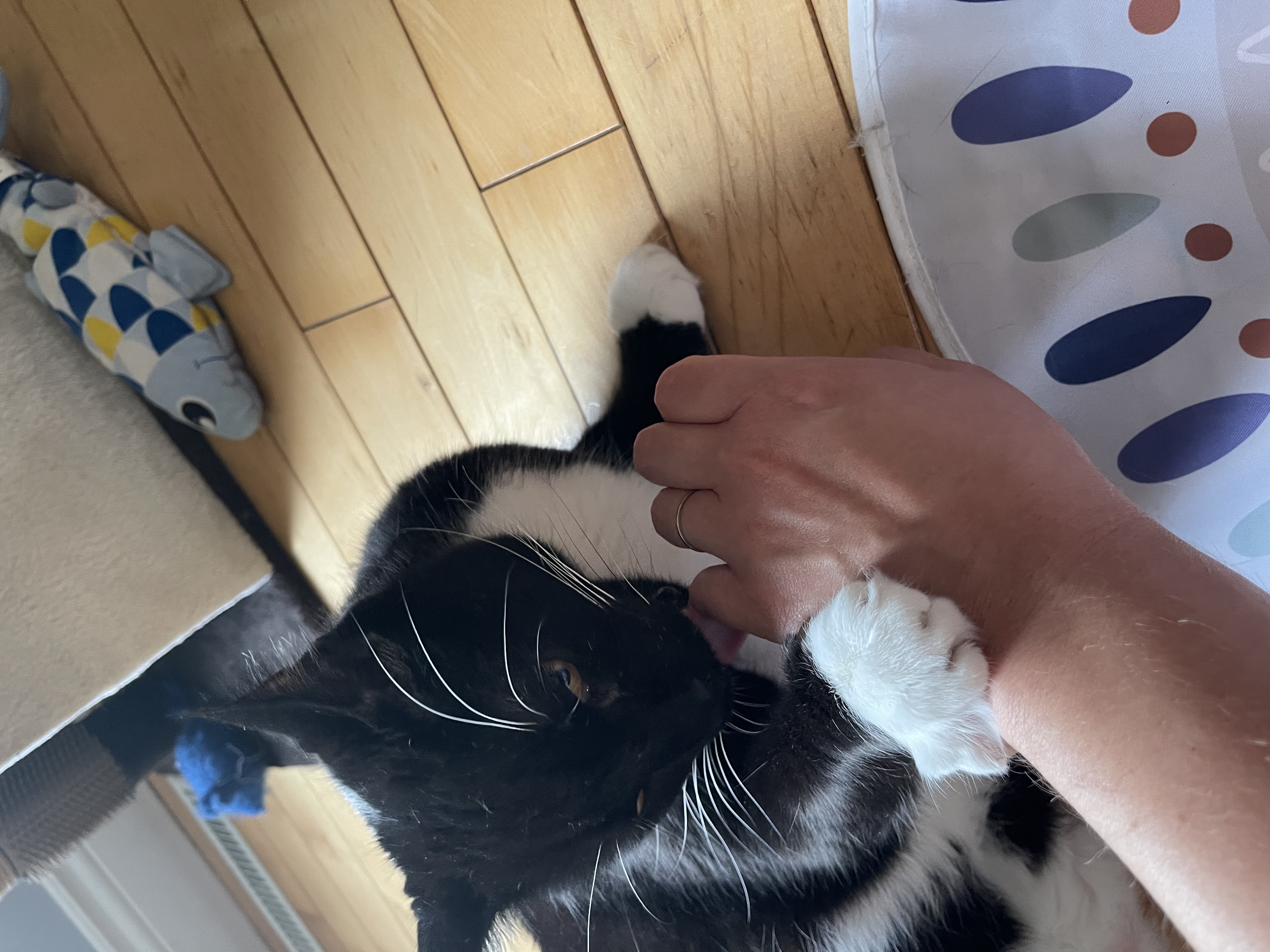 image-8