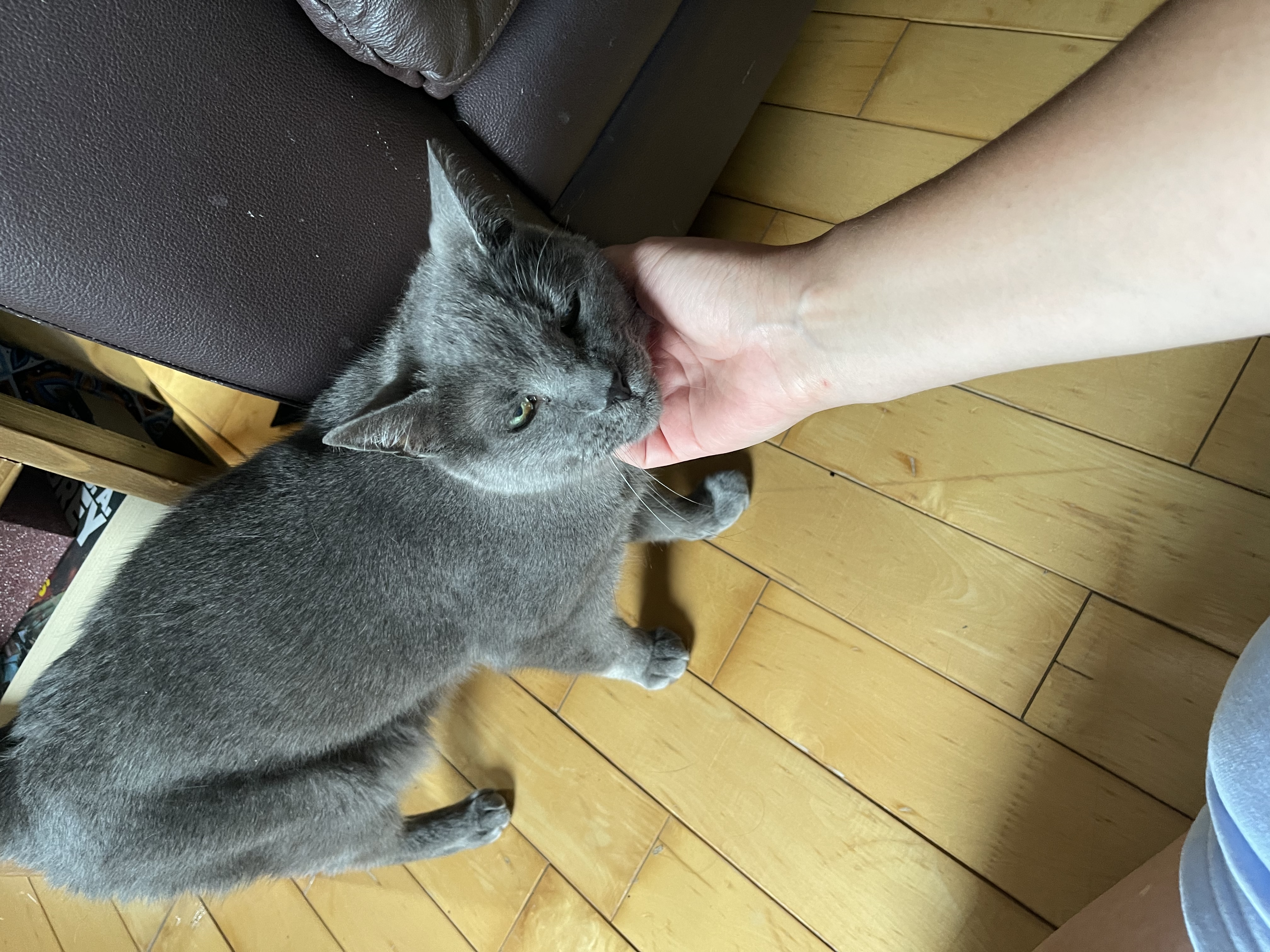 image-11