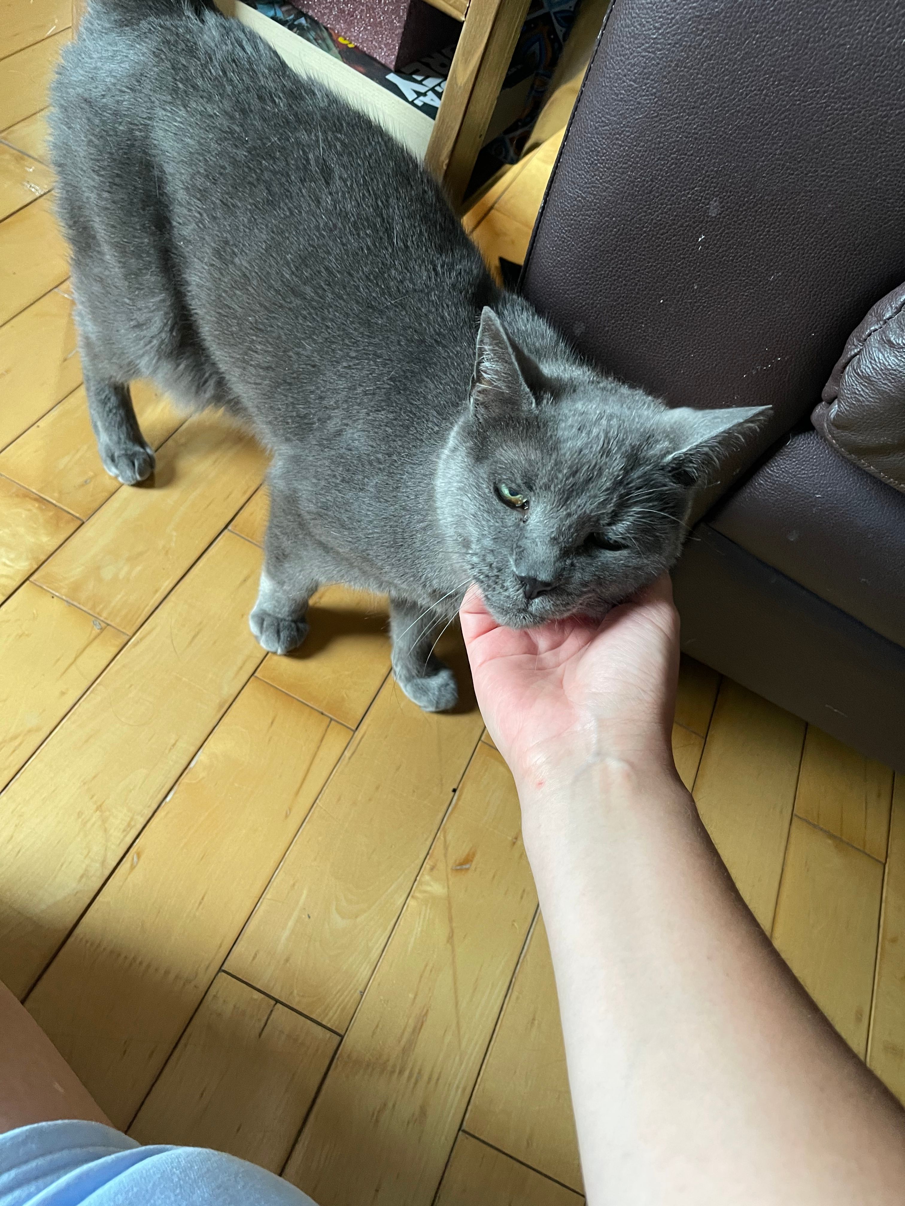 image-11