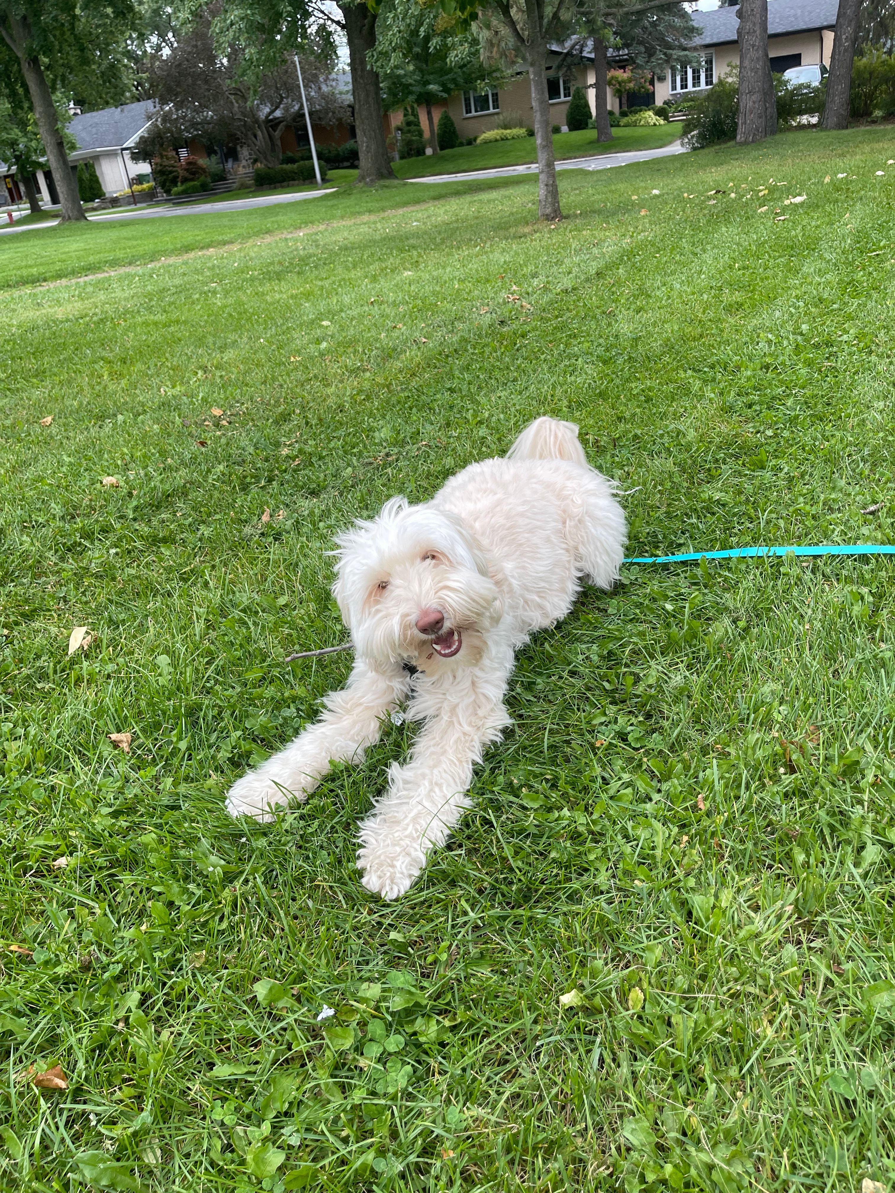 image-9