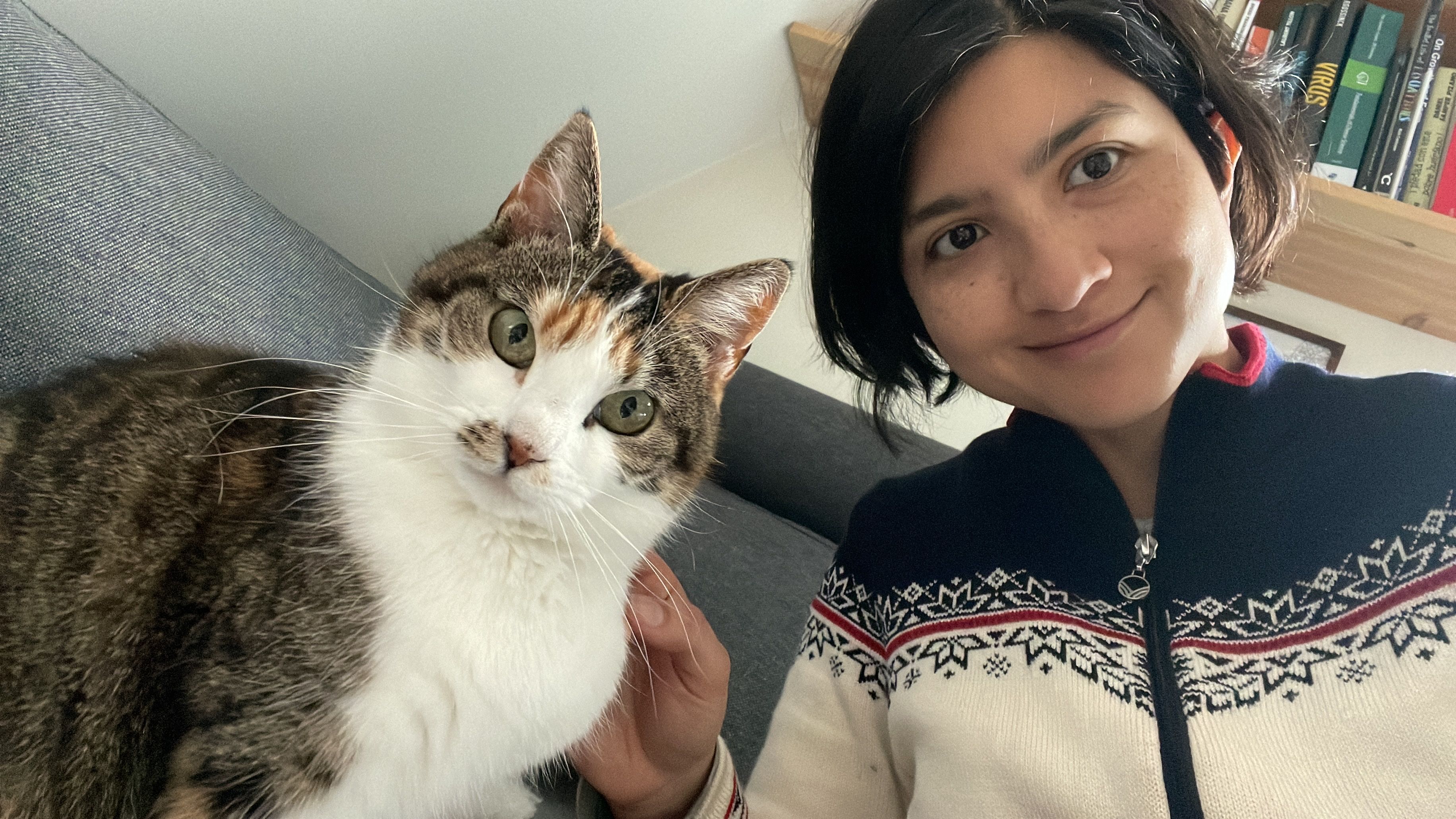 image-0