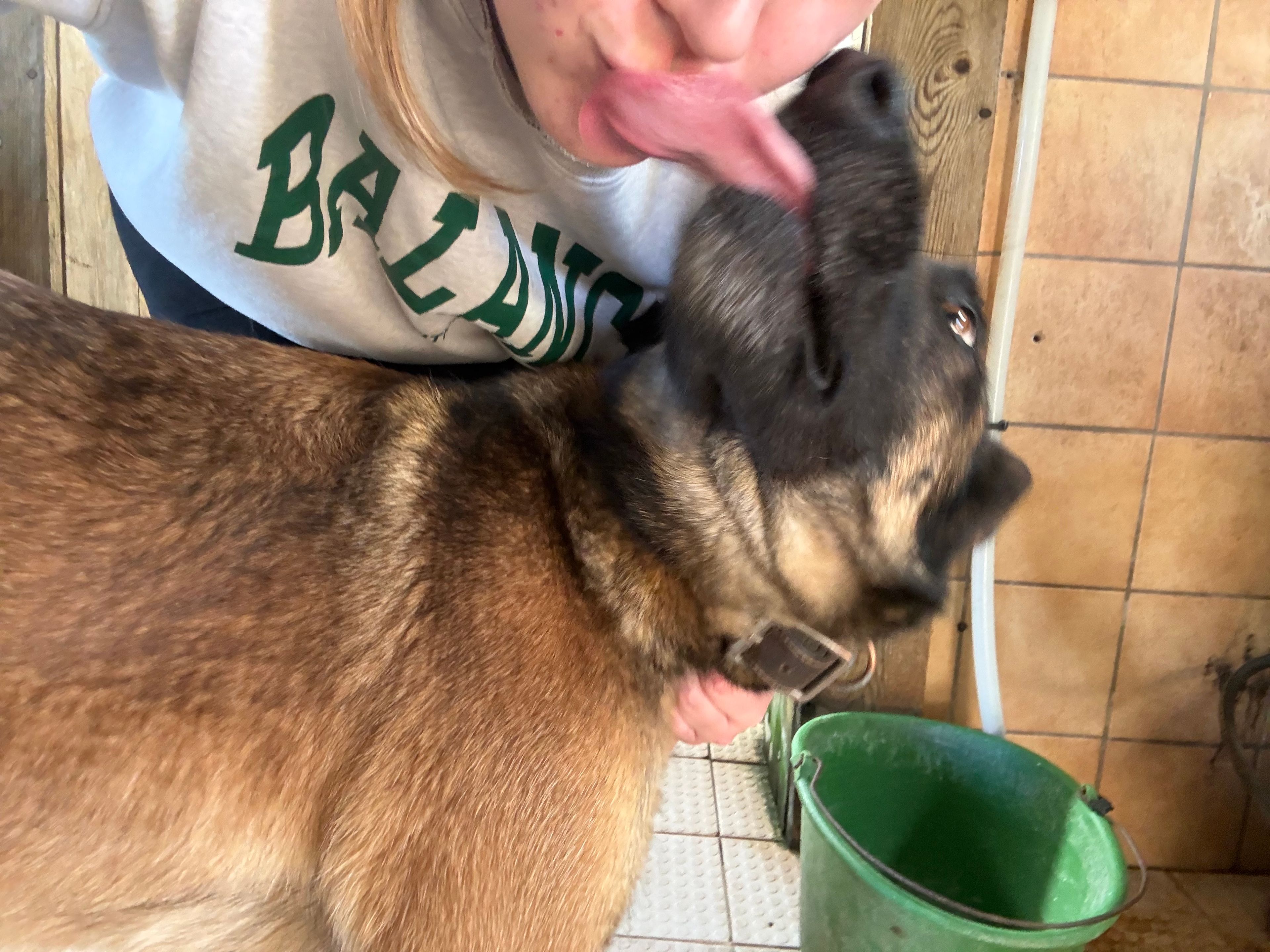 image-10