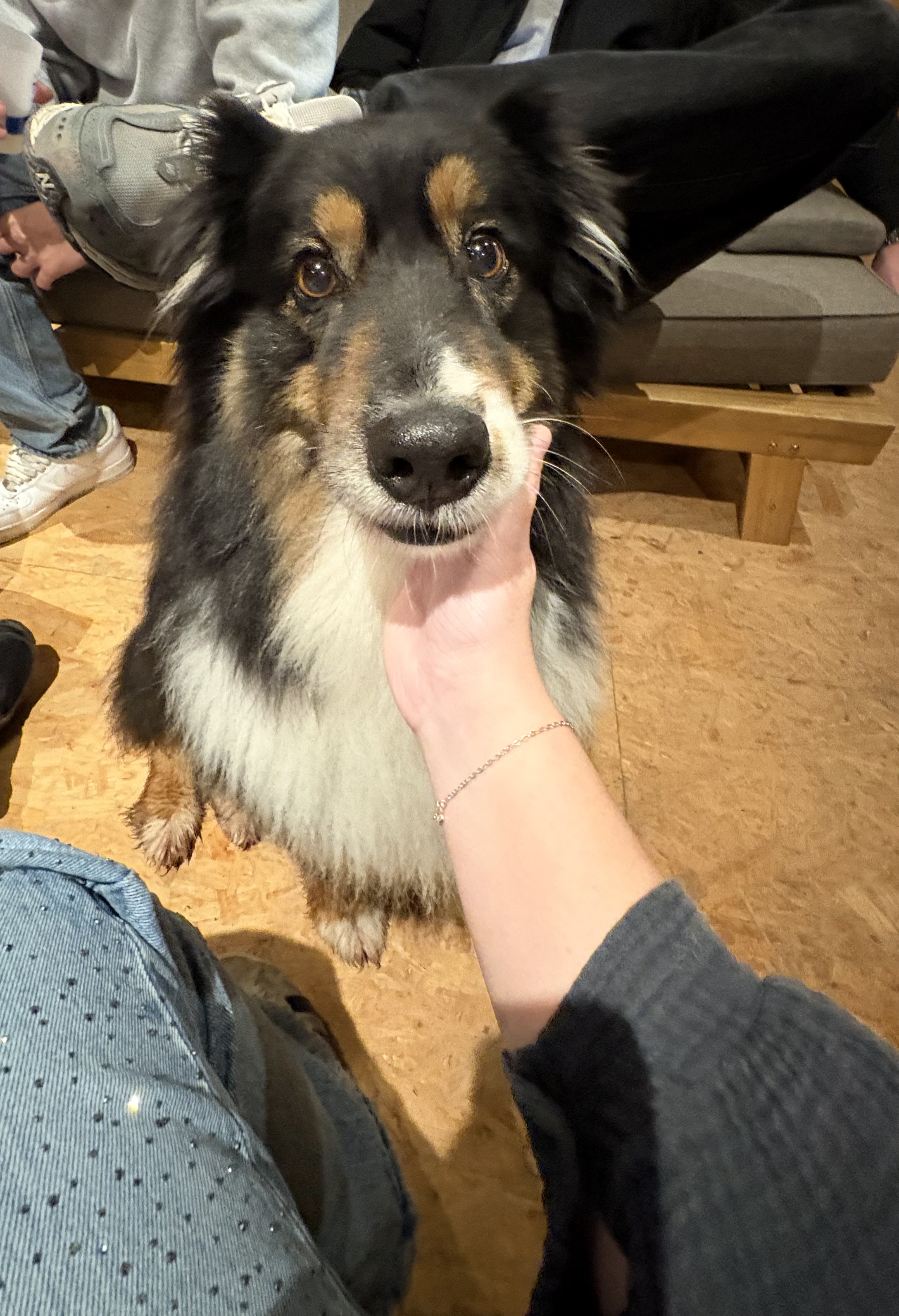 image-8