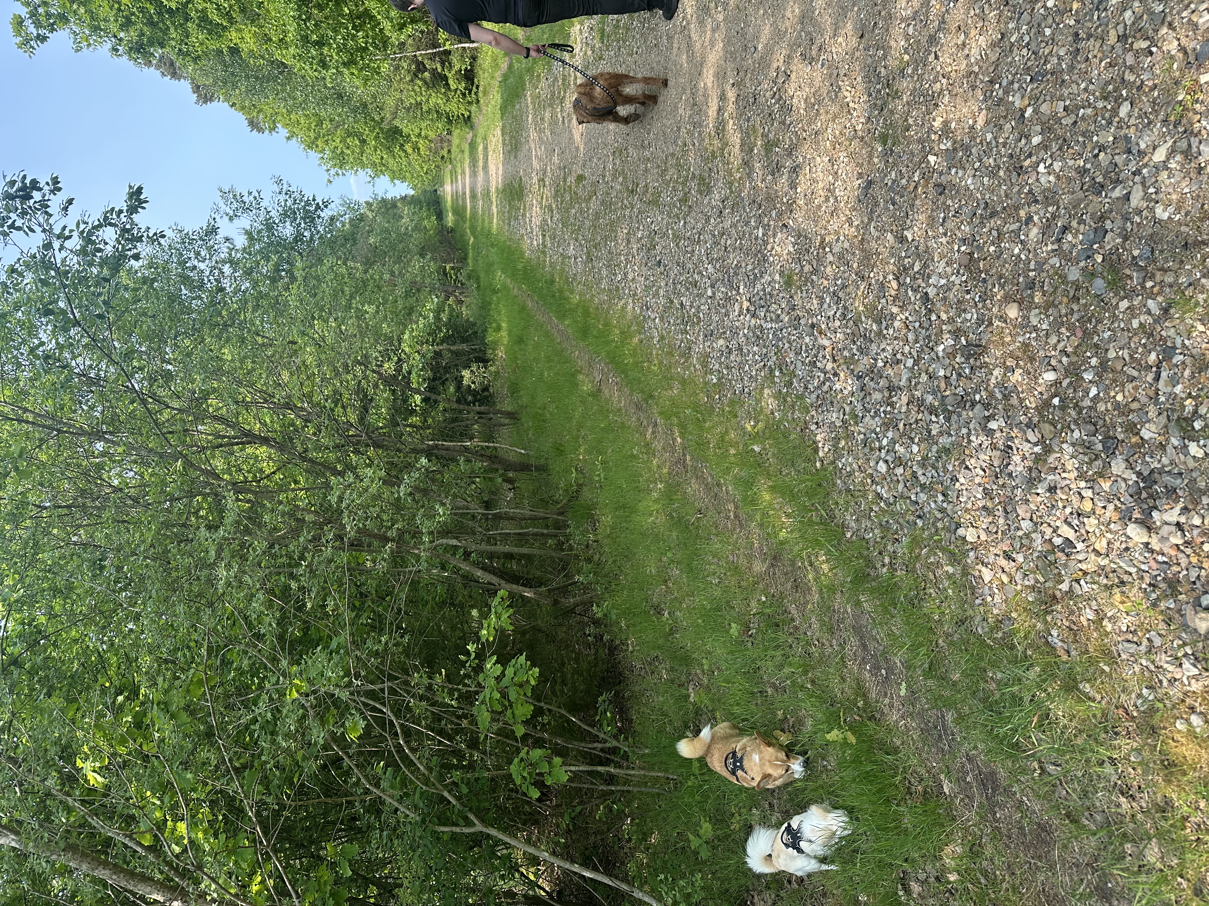 image-2
