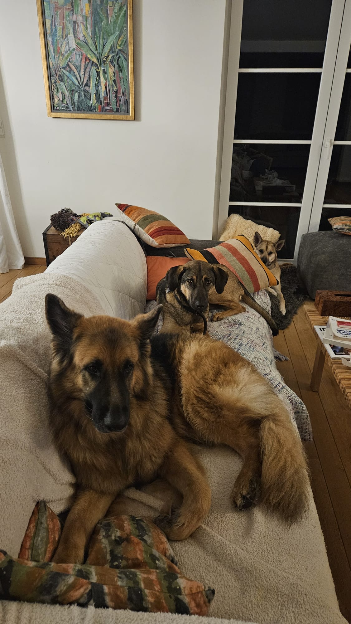 image-47