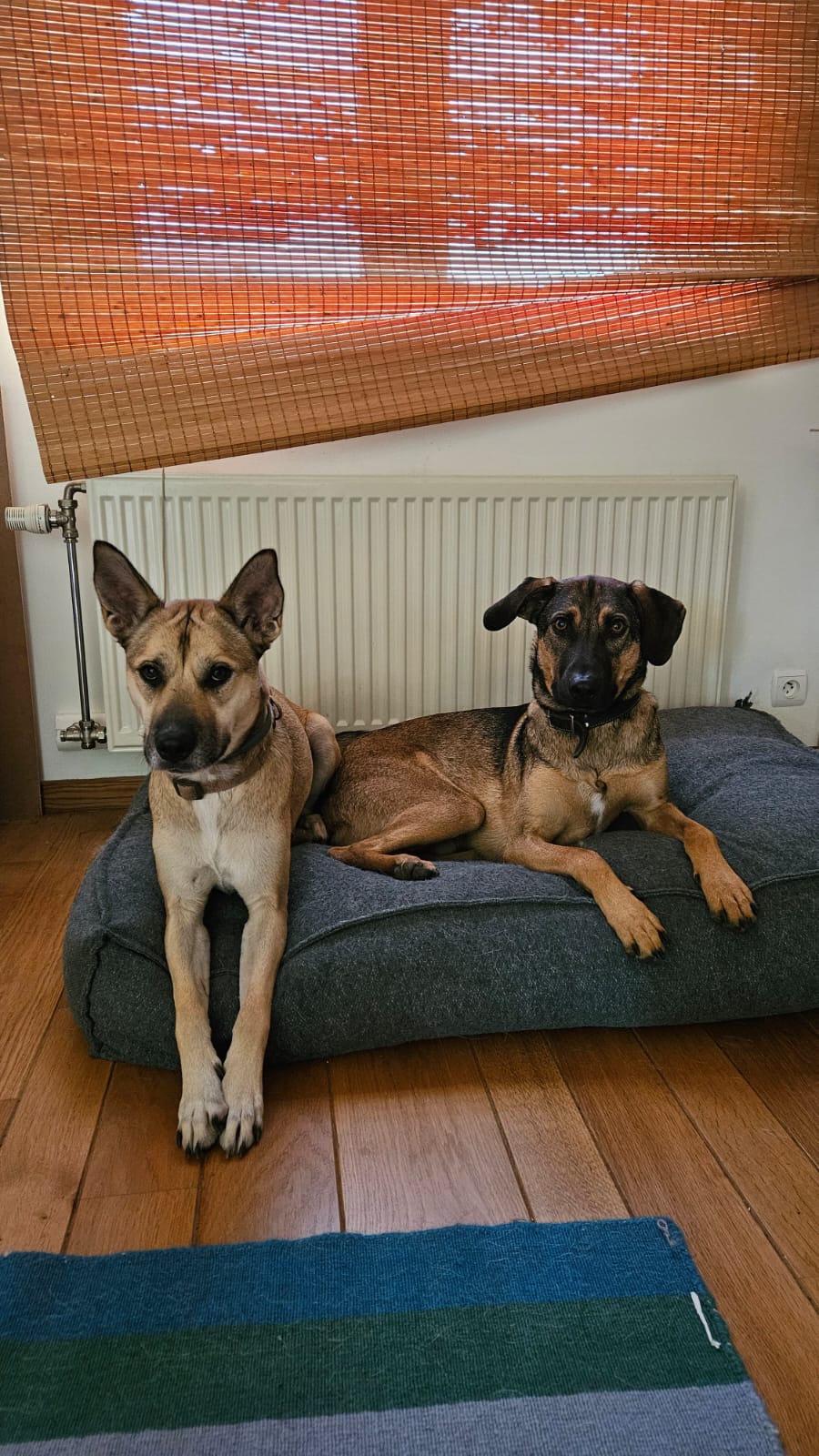 image-28