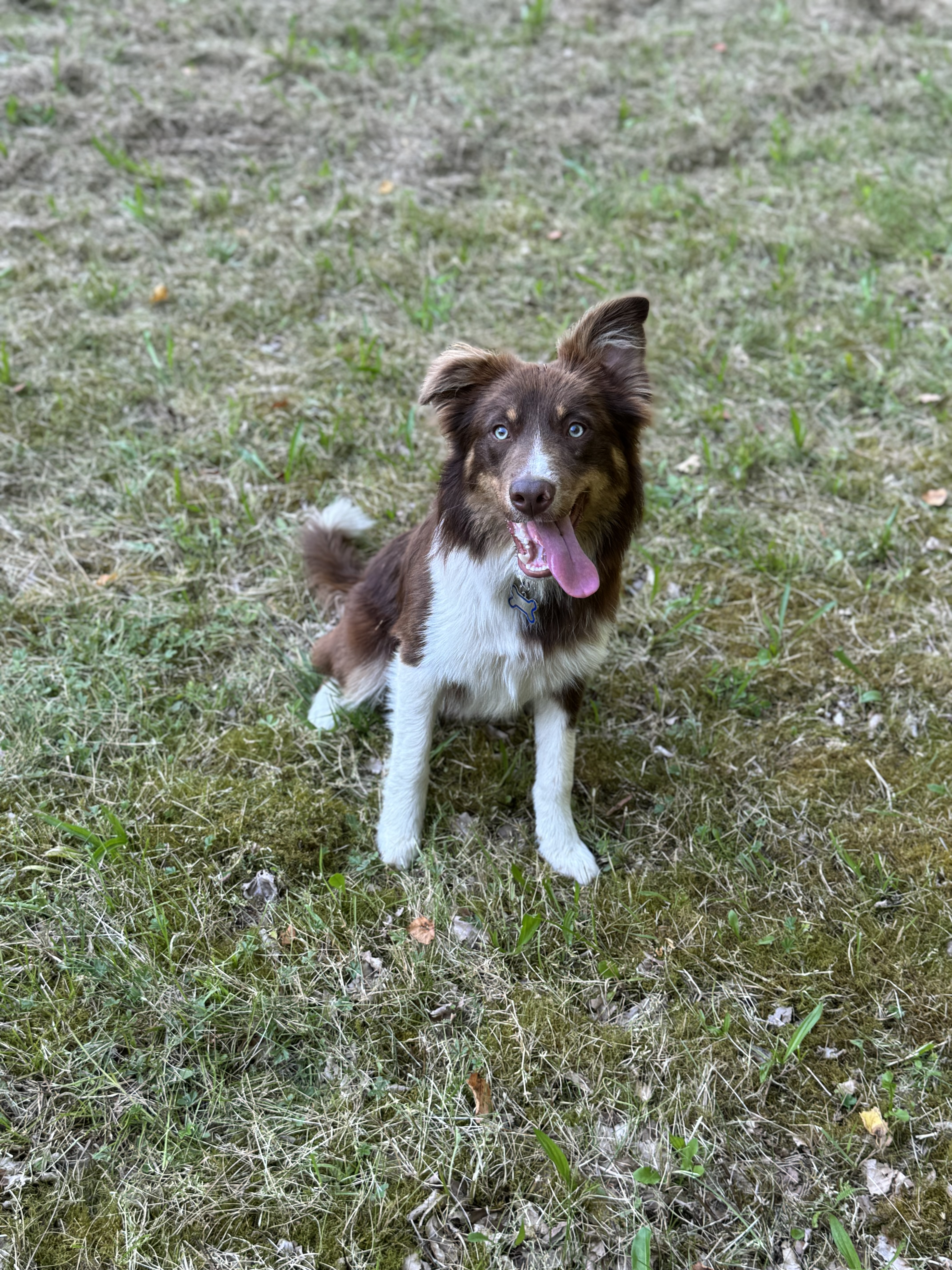image-6