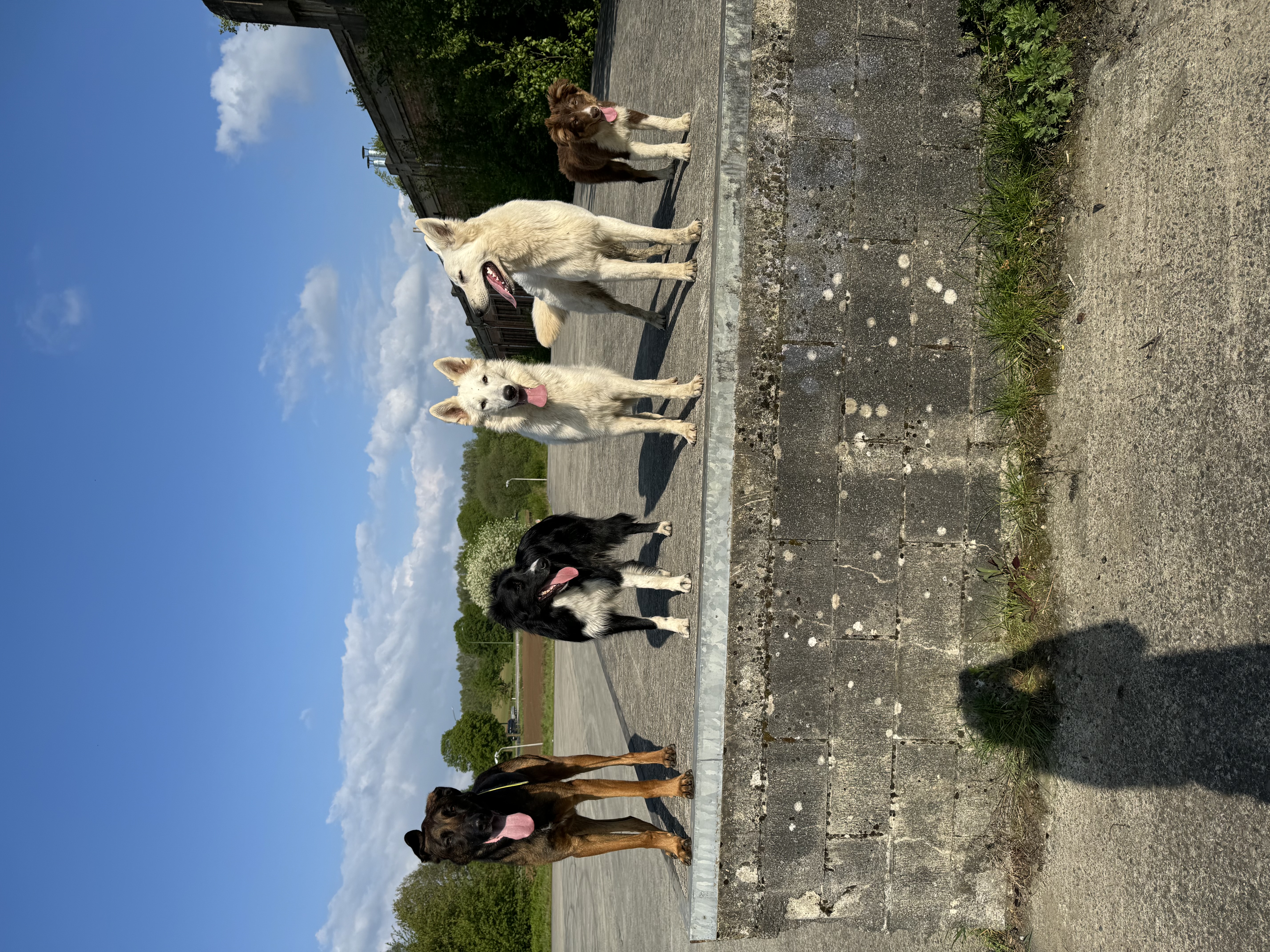image-8