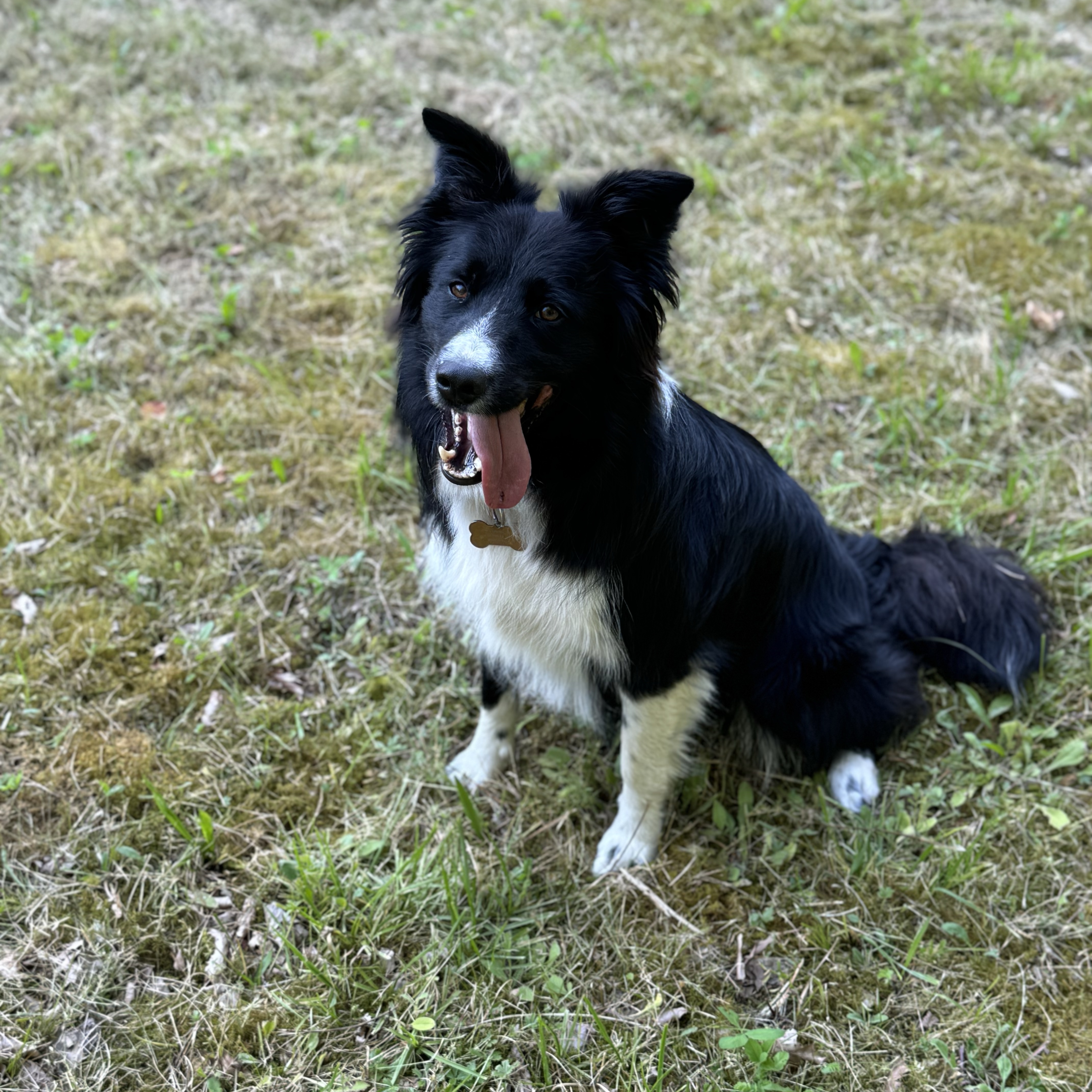Skip