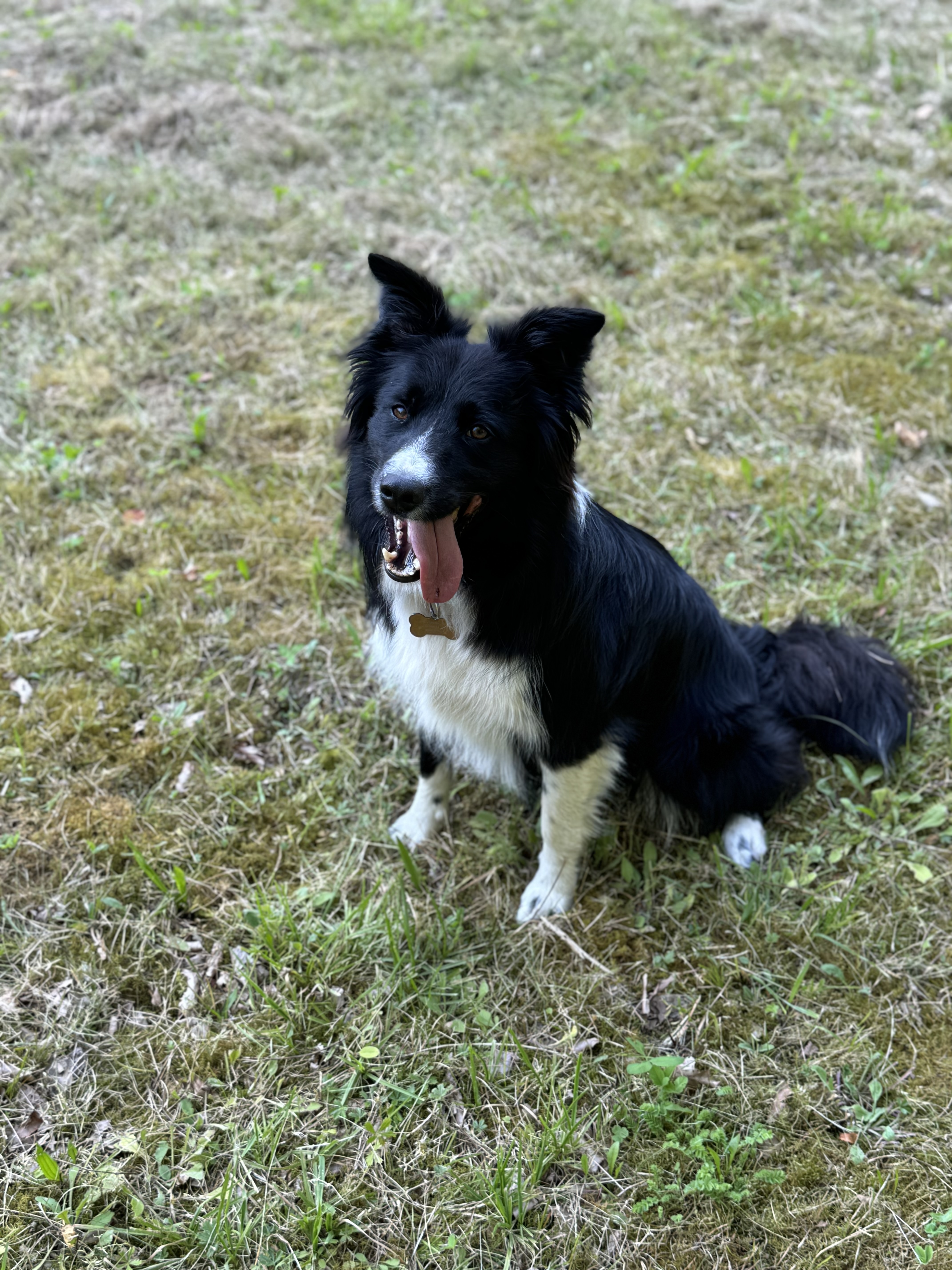 image-7