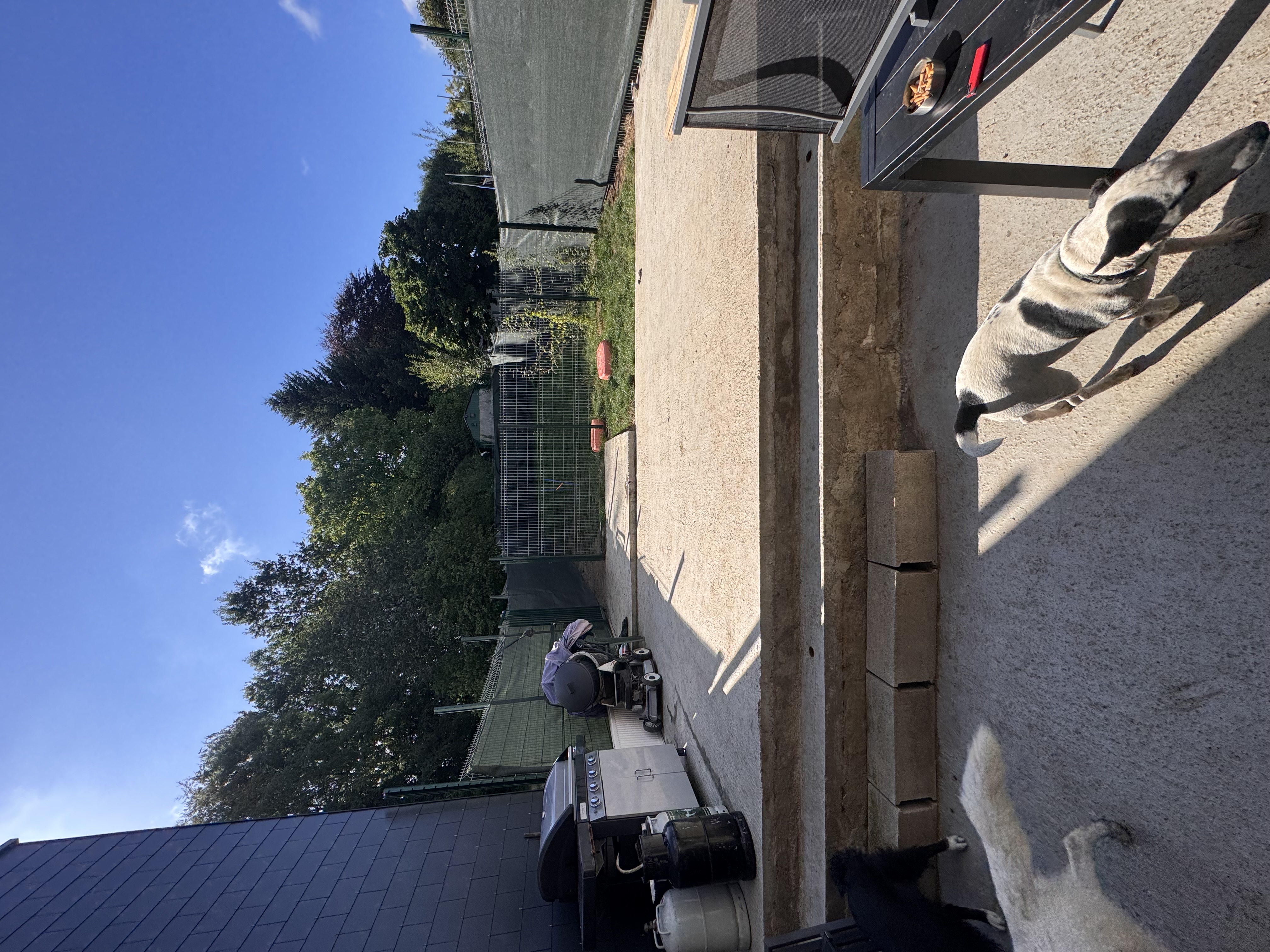 image-17