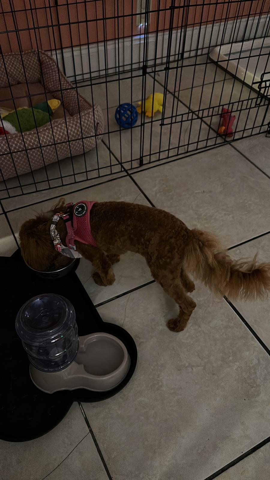 image-7