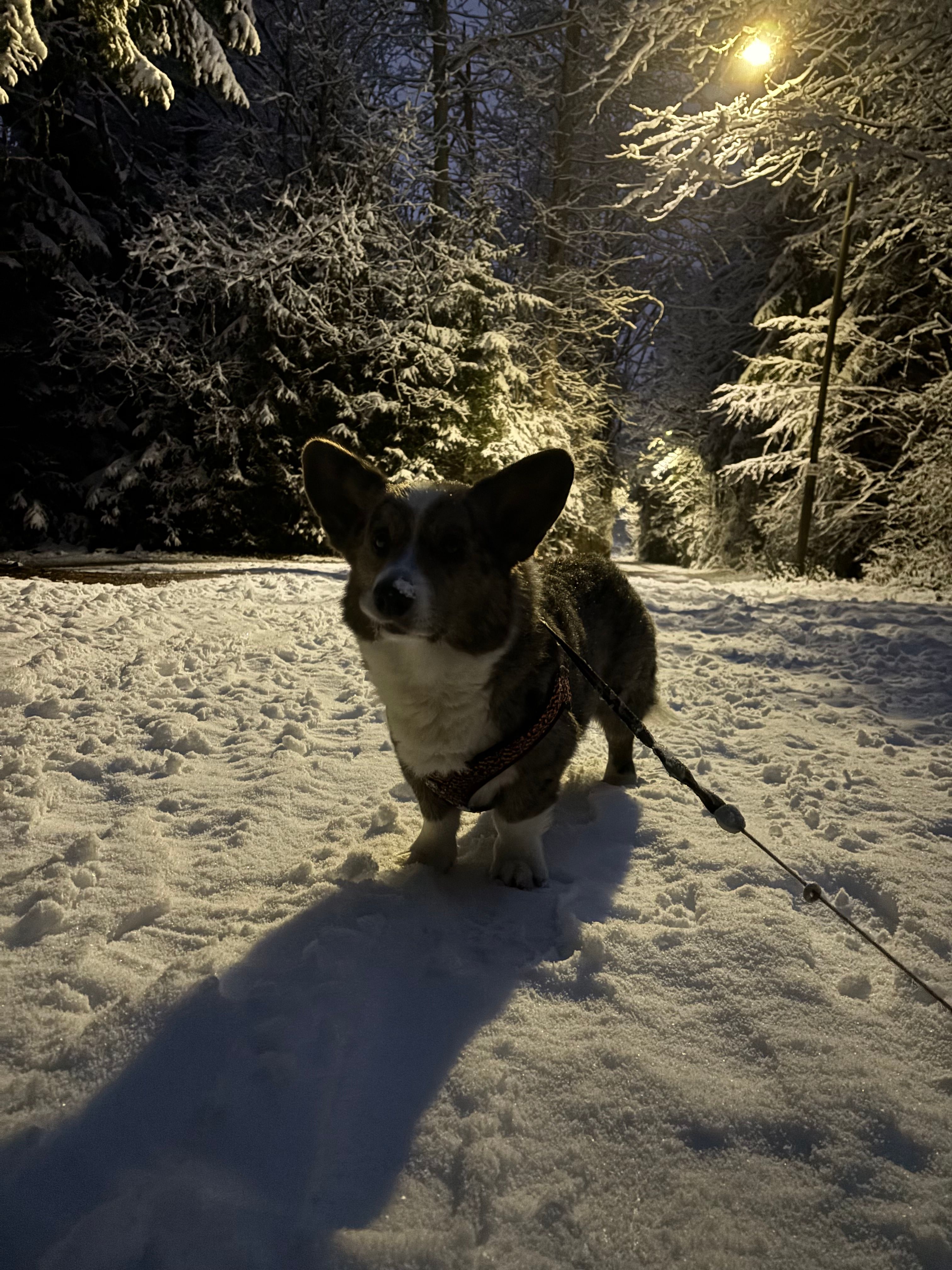 image-6