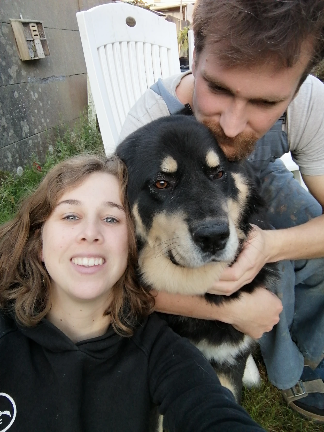 image-9